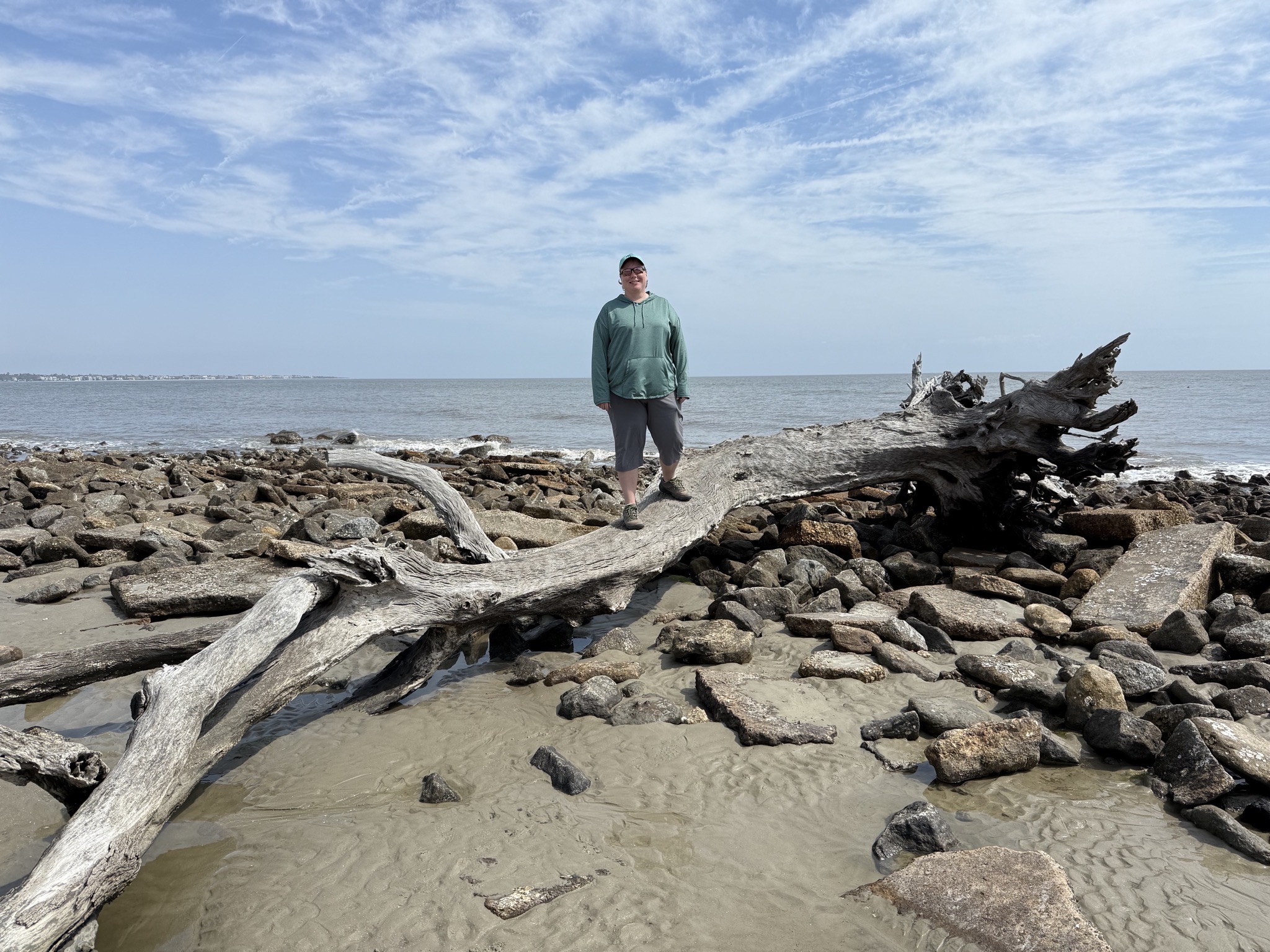 Driftwood Beach