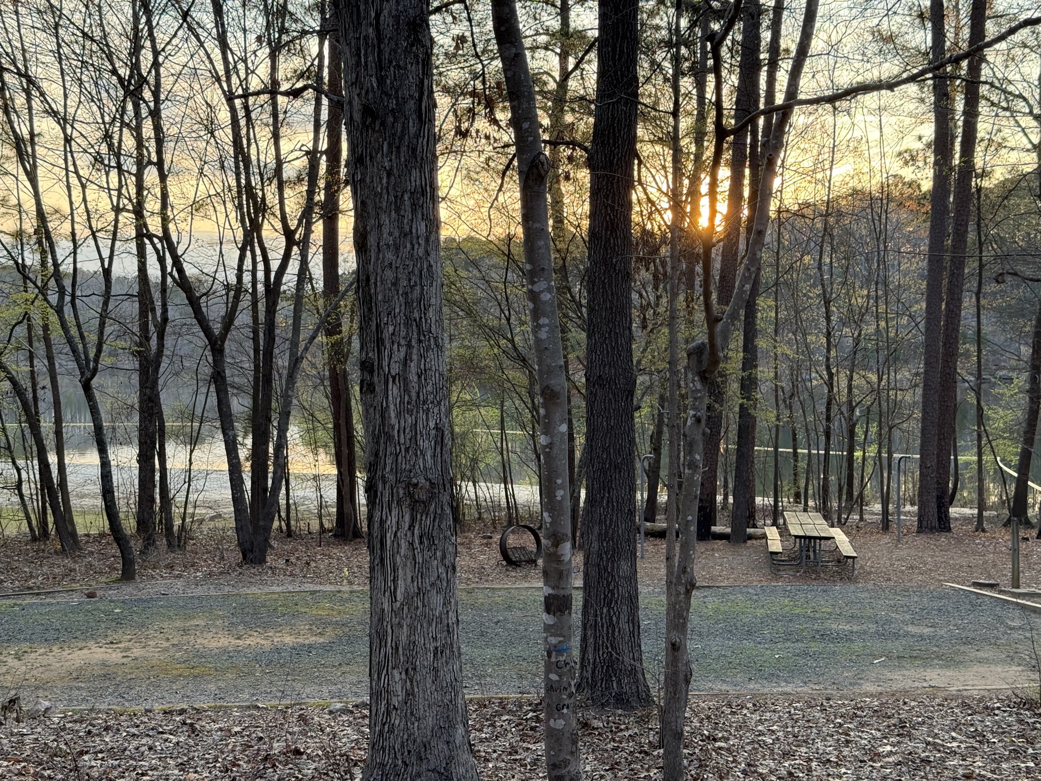 View of sunrise over the lake from our site