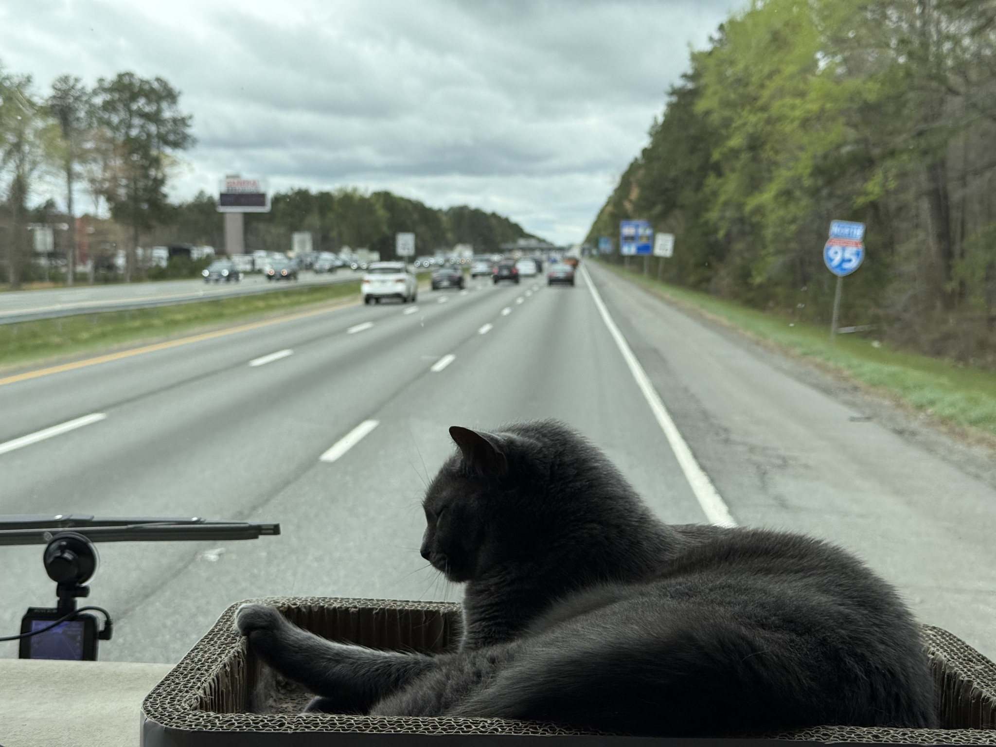 Paladin on the dash