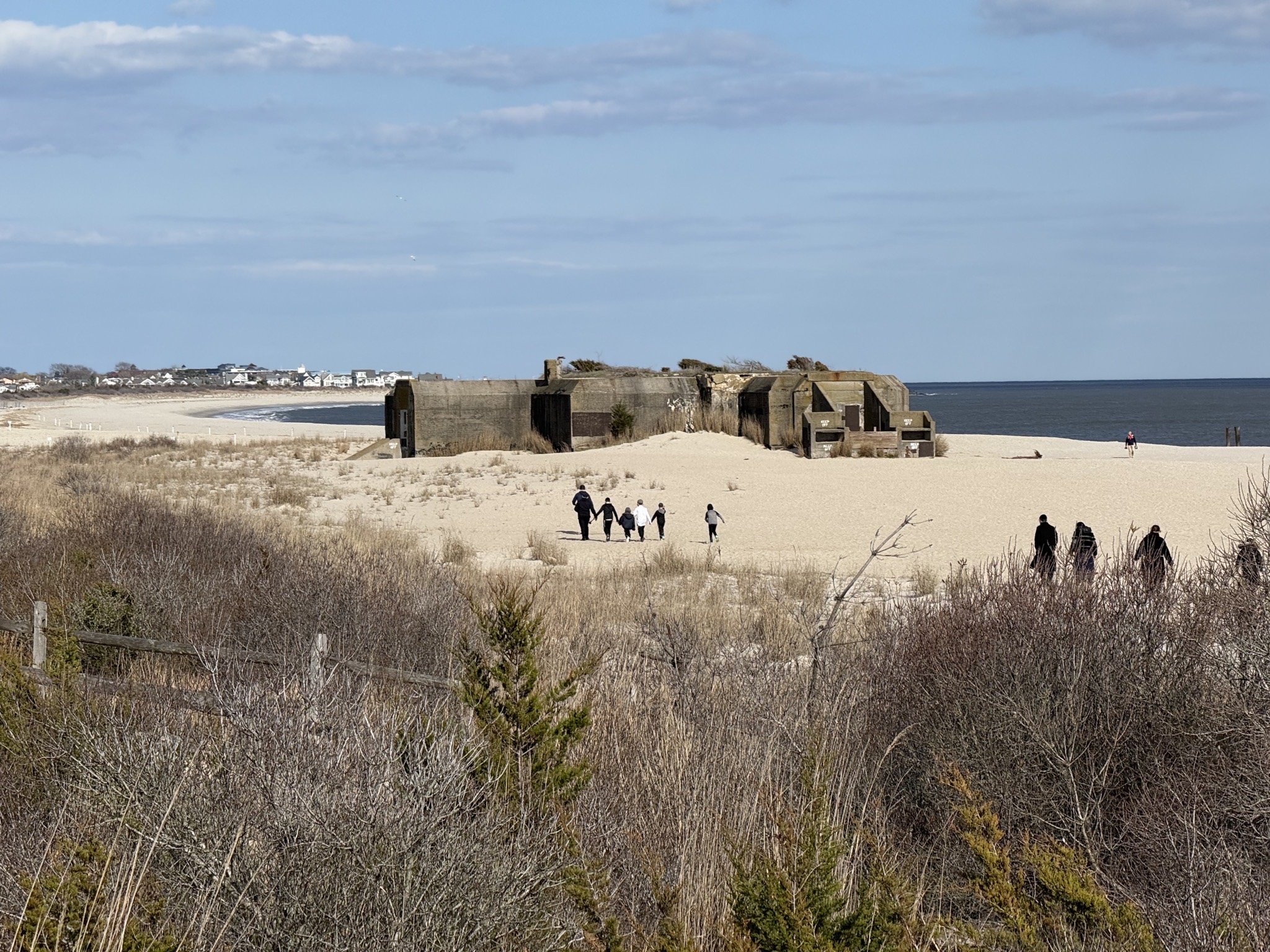 Battery 223