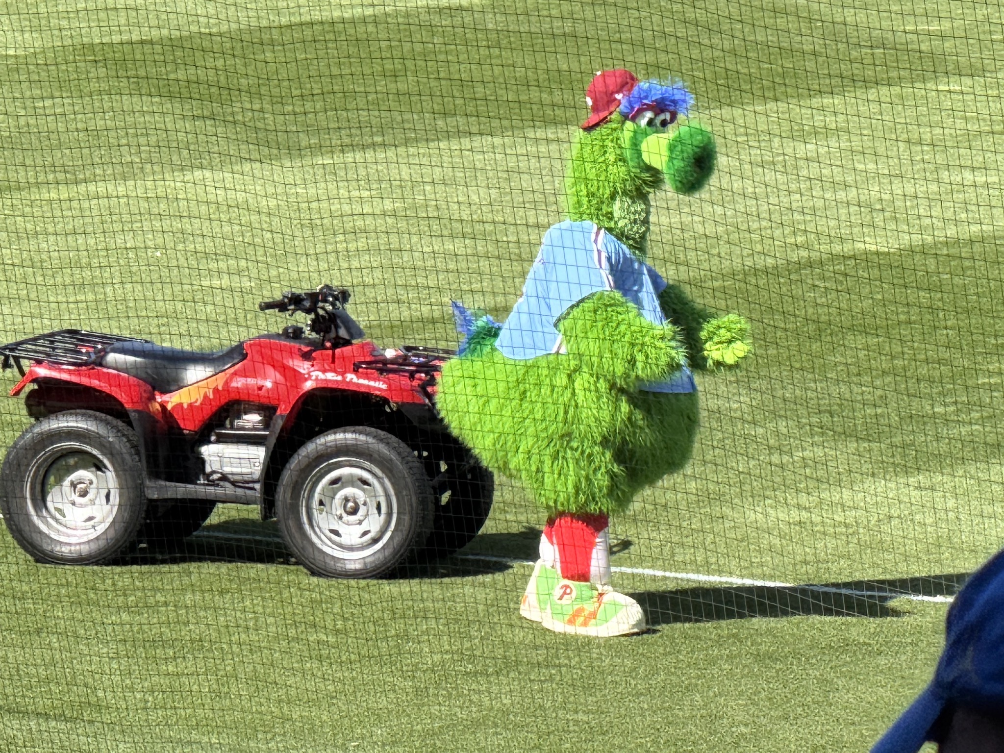 The Phillie Phanatic
