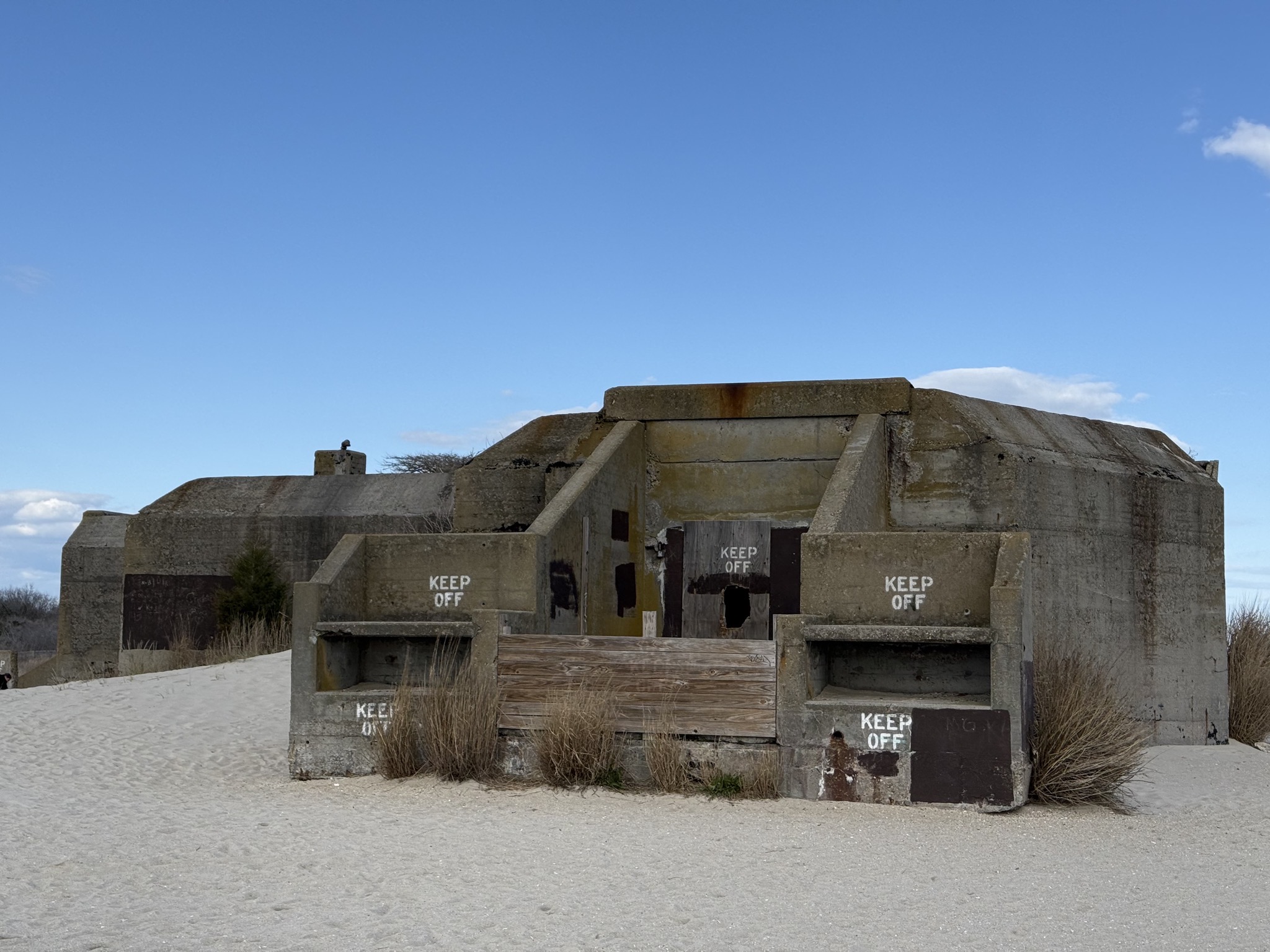 Battery 223