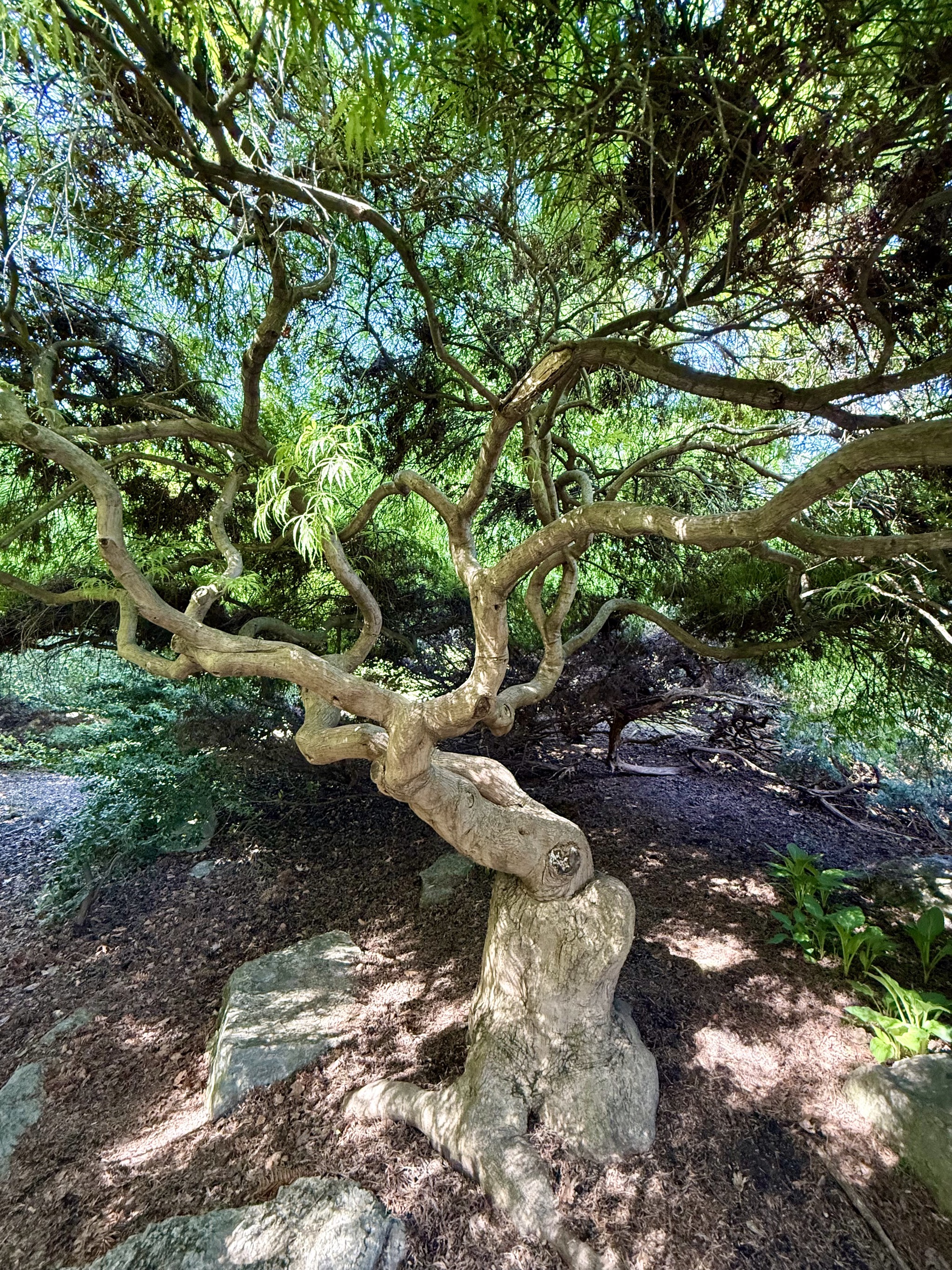 Gardens