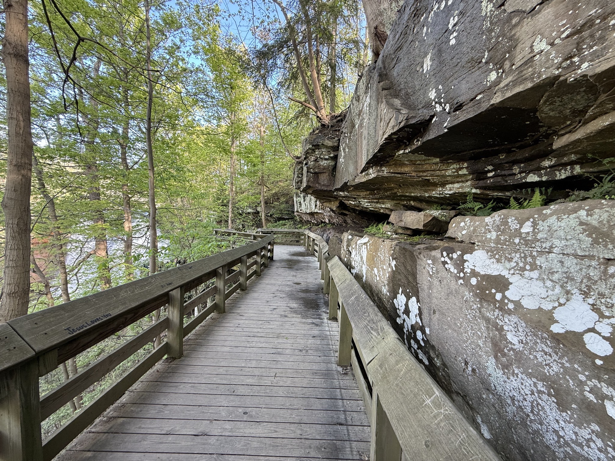 Boardwalk