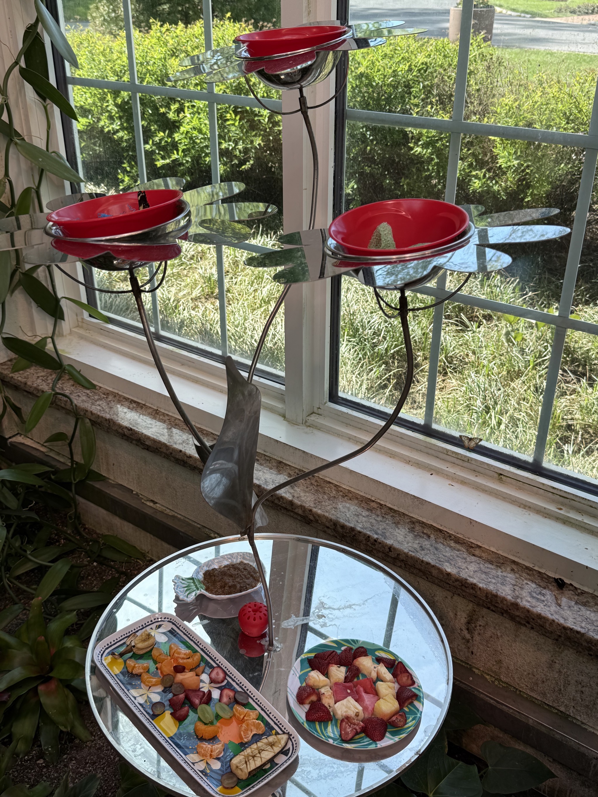 Butterfly atrium