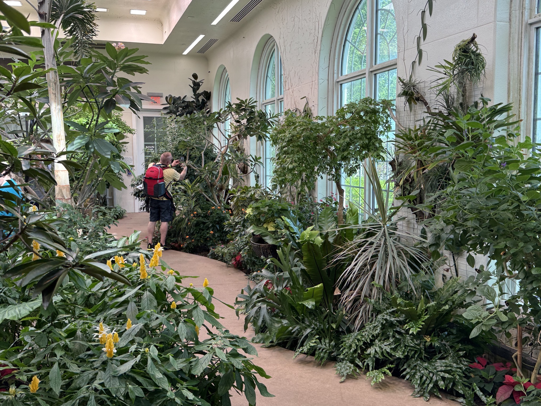 Butterfly atrium