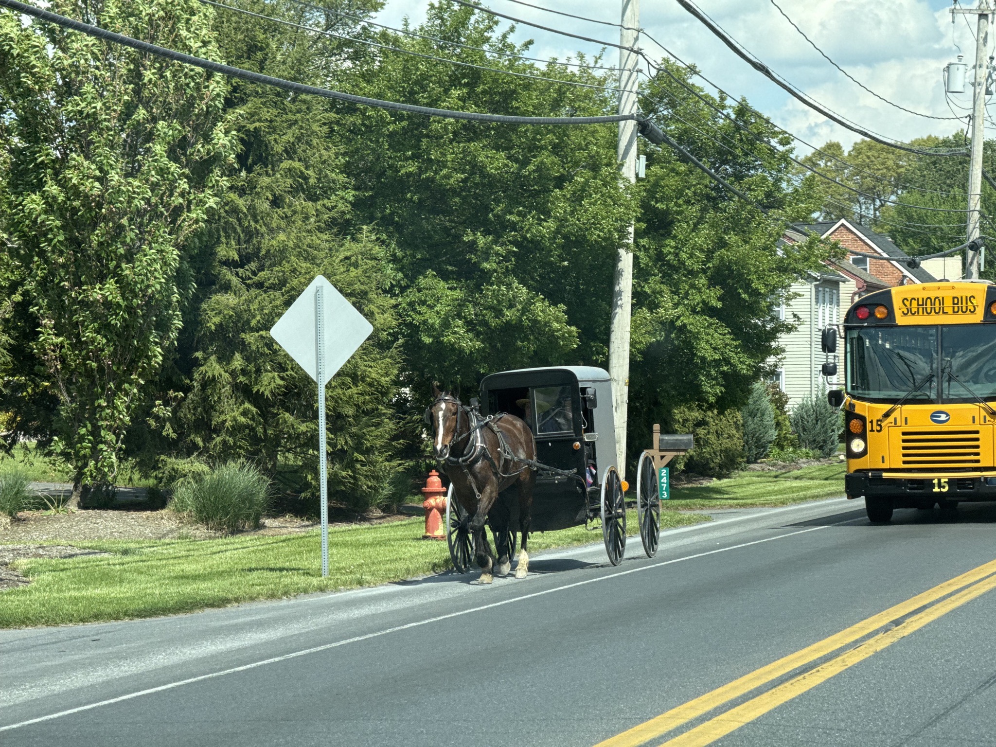 Amish horse and buggy