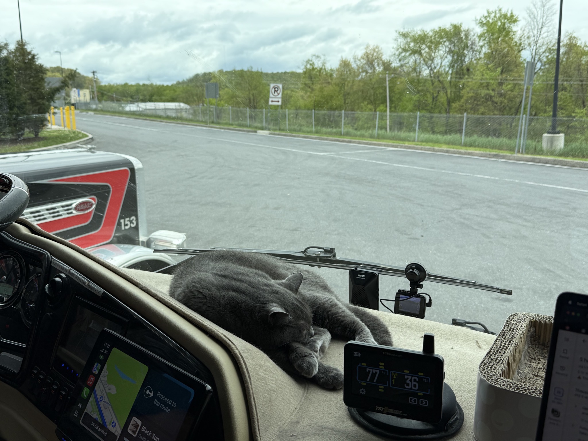 Paladin on dash at service plaza