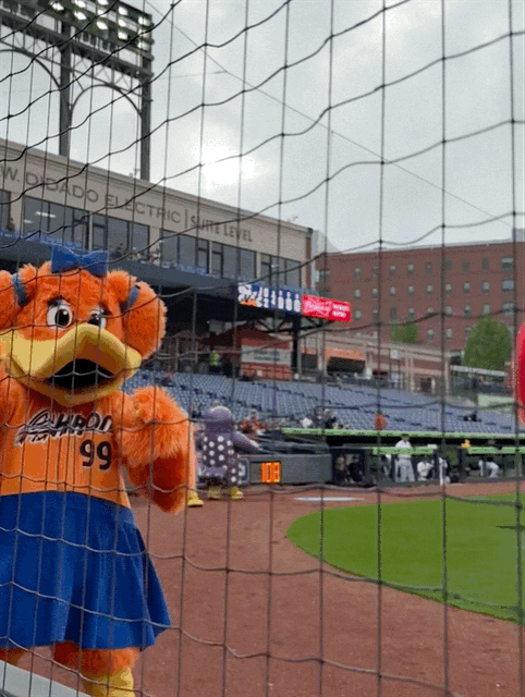 Mascot