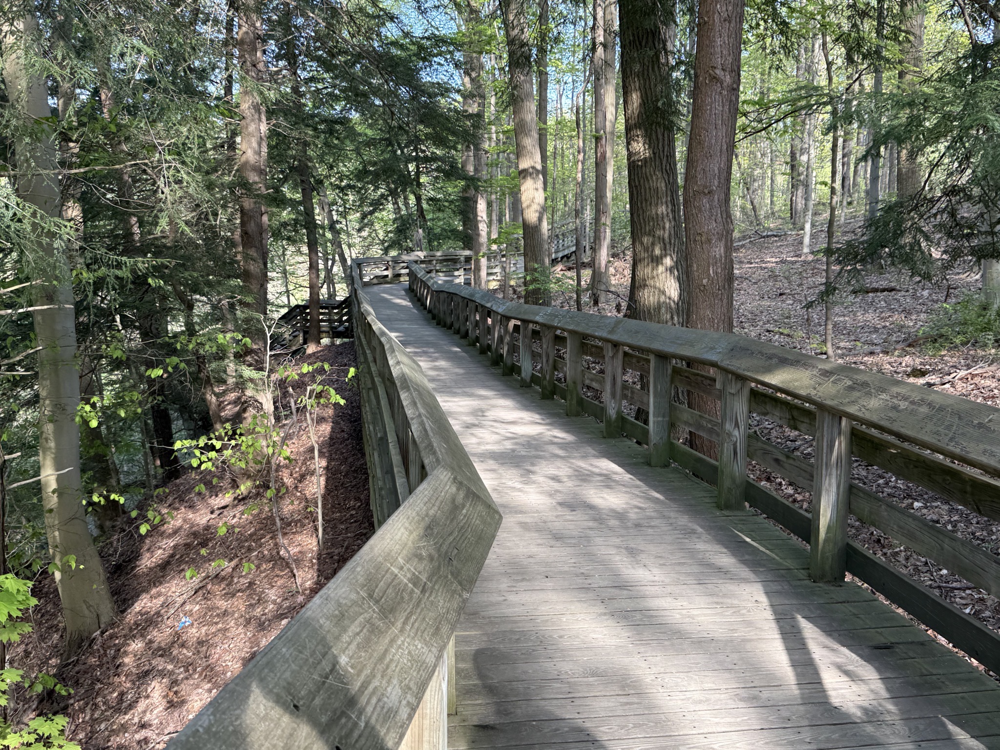 Boardwalk