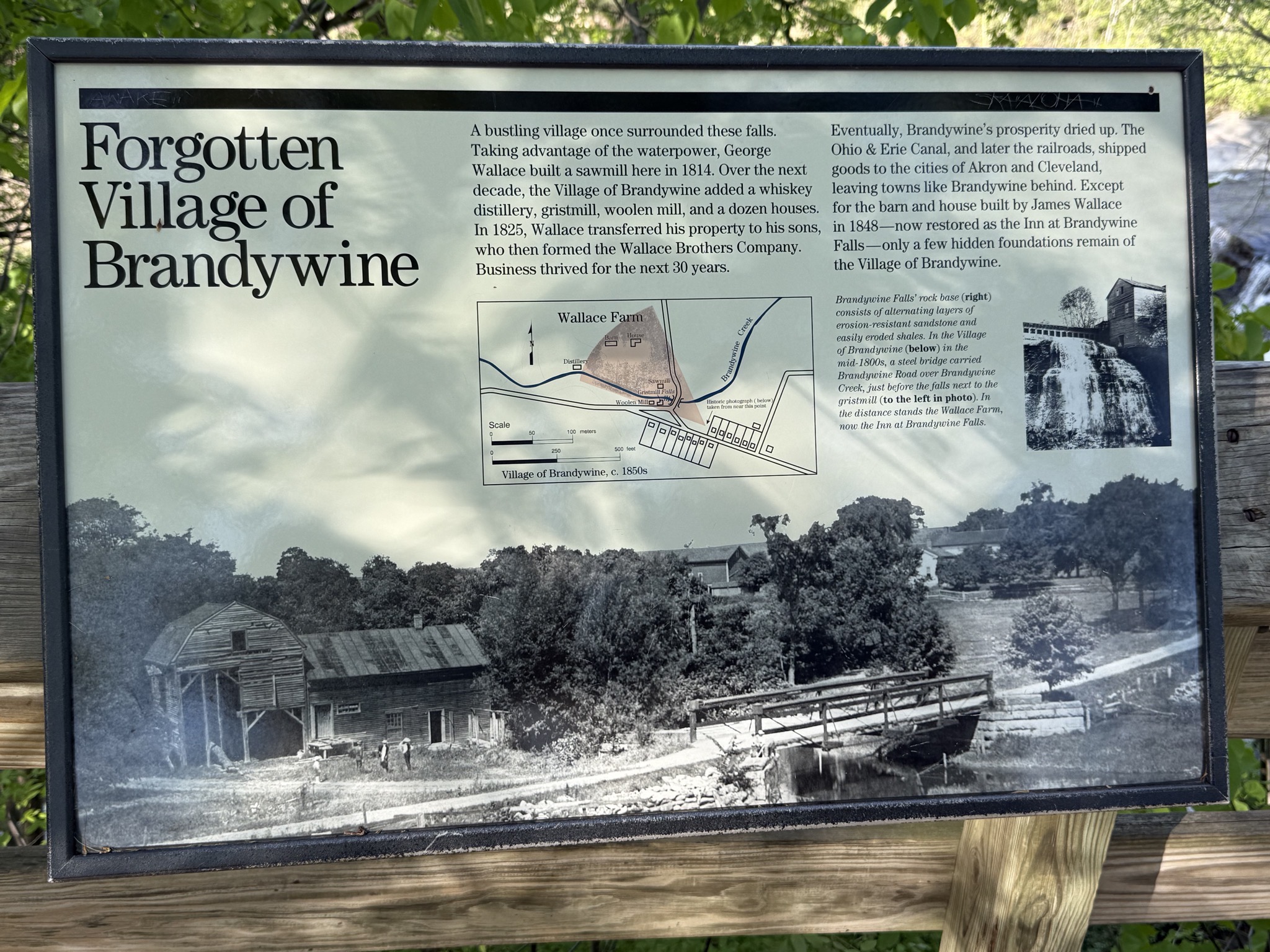 Brandywine