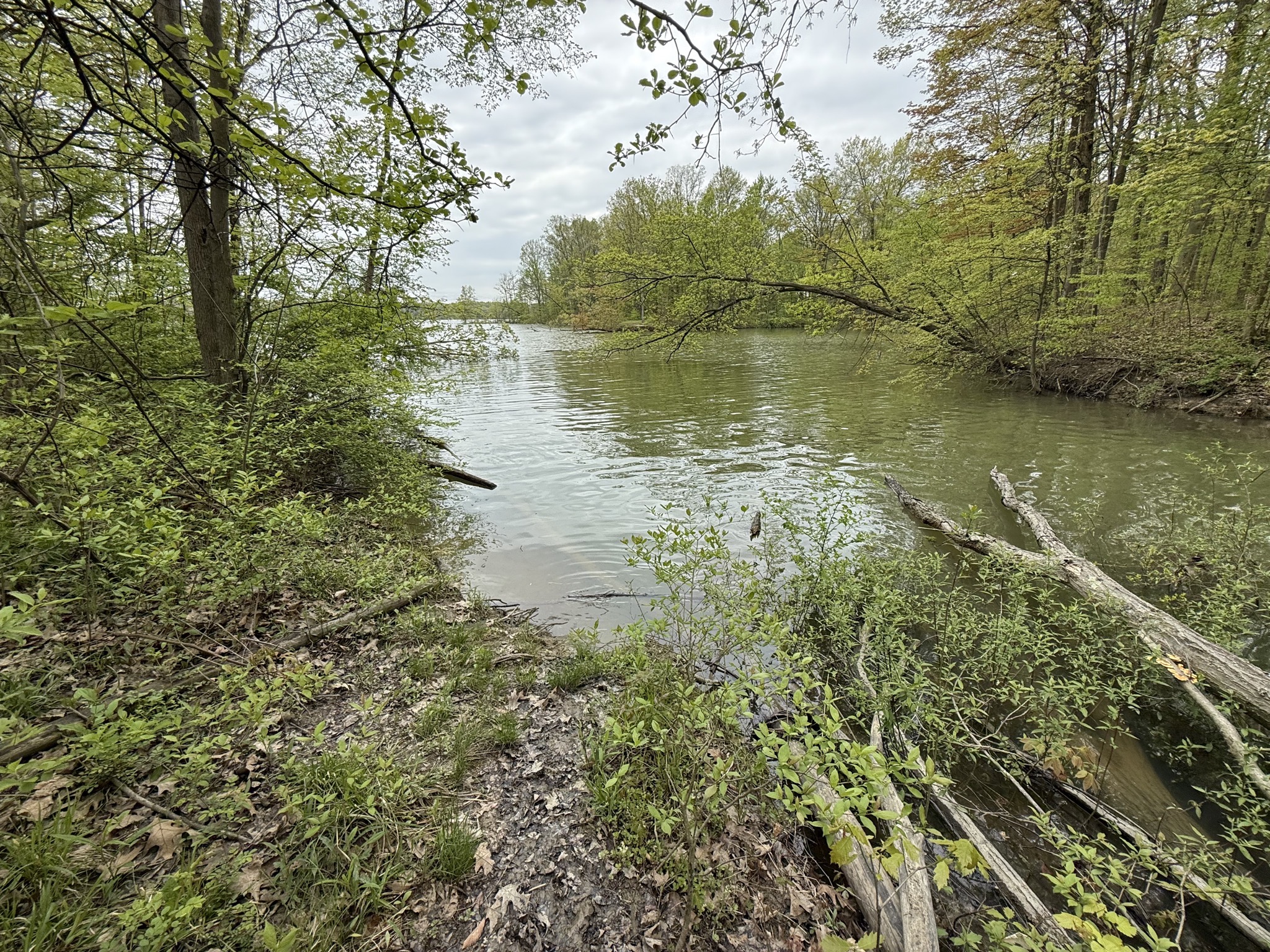 Lake