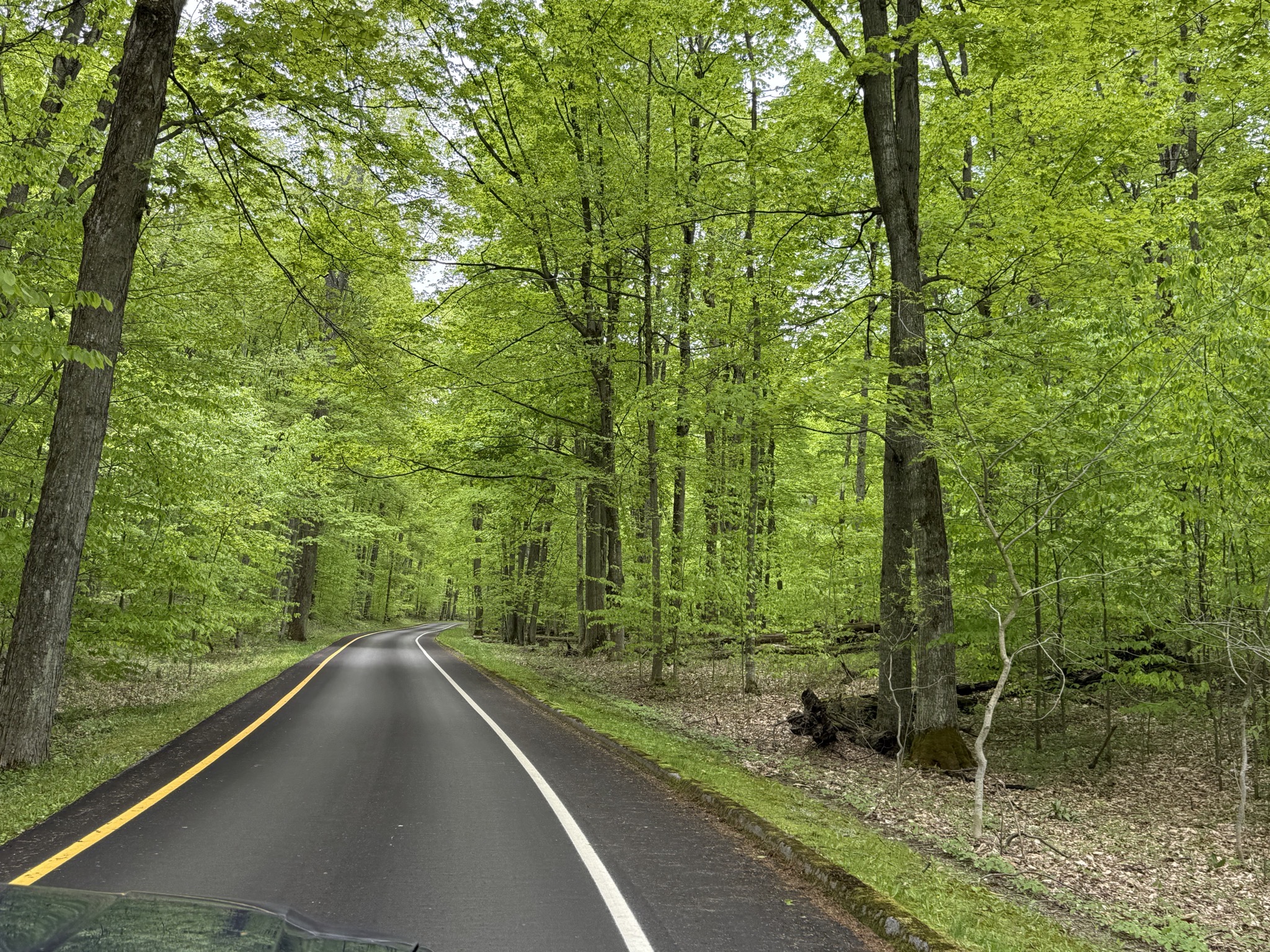 Scenic drive