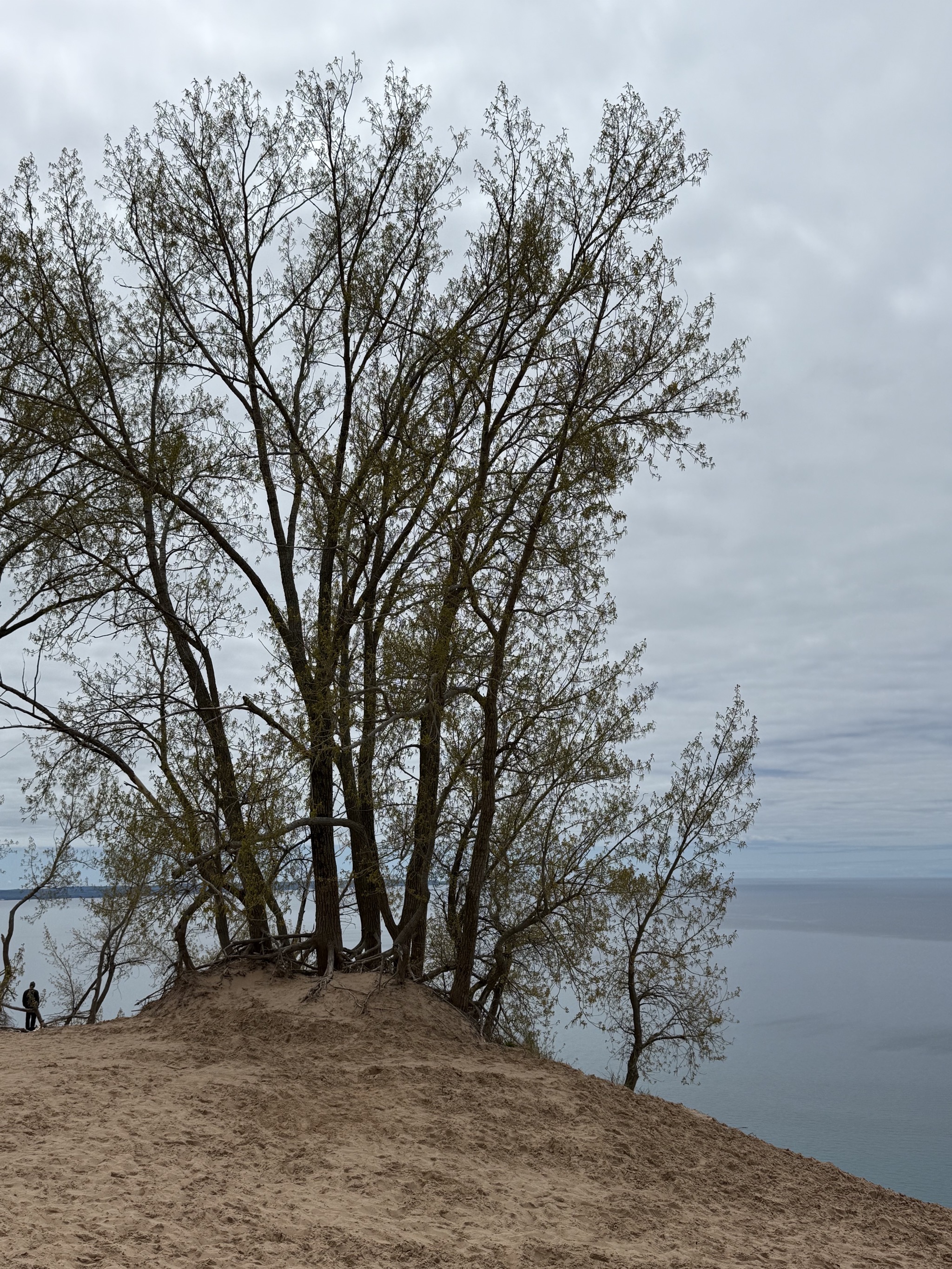 Steep dune and Lake Michigan