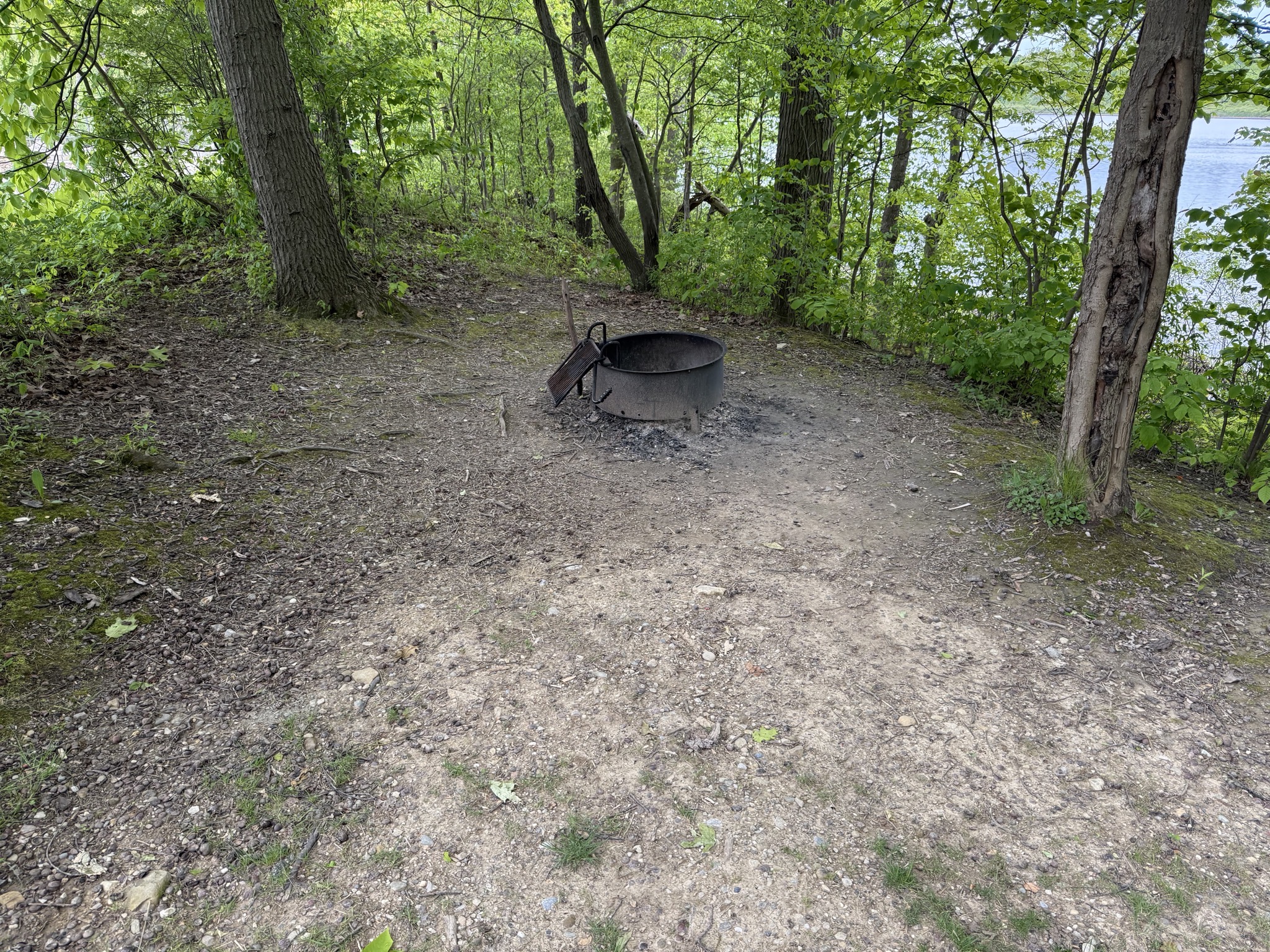 Our site