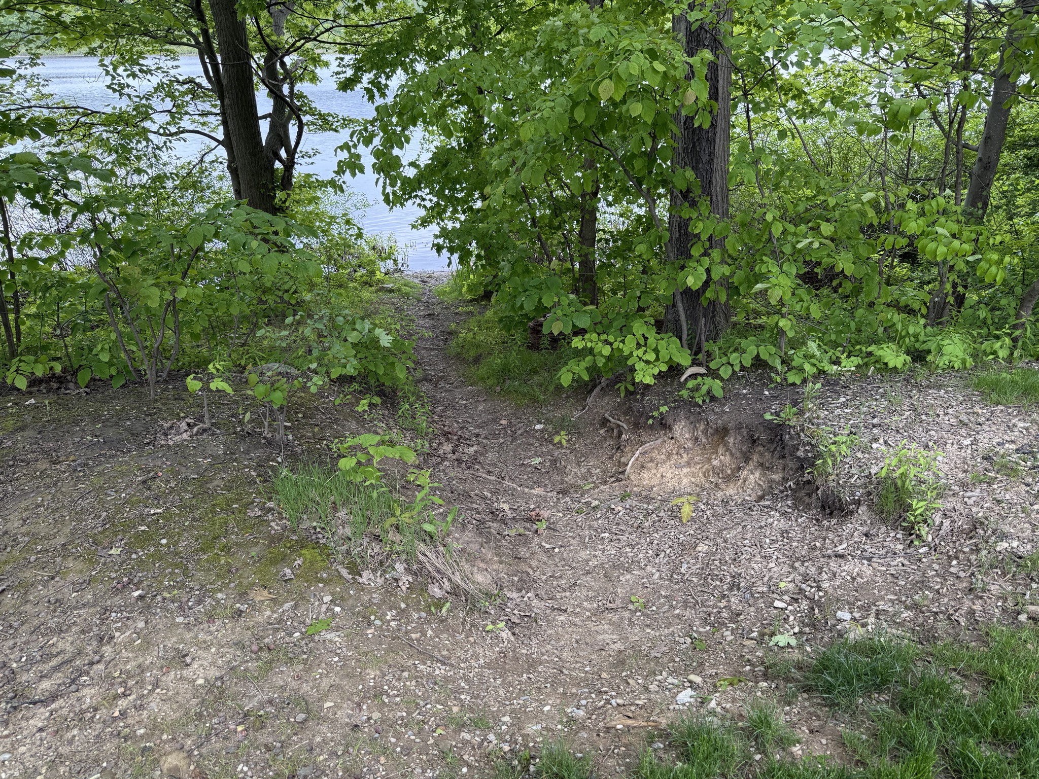 Our site