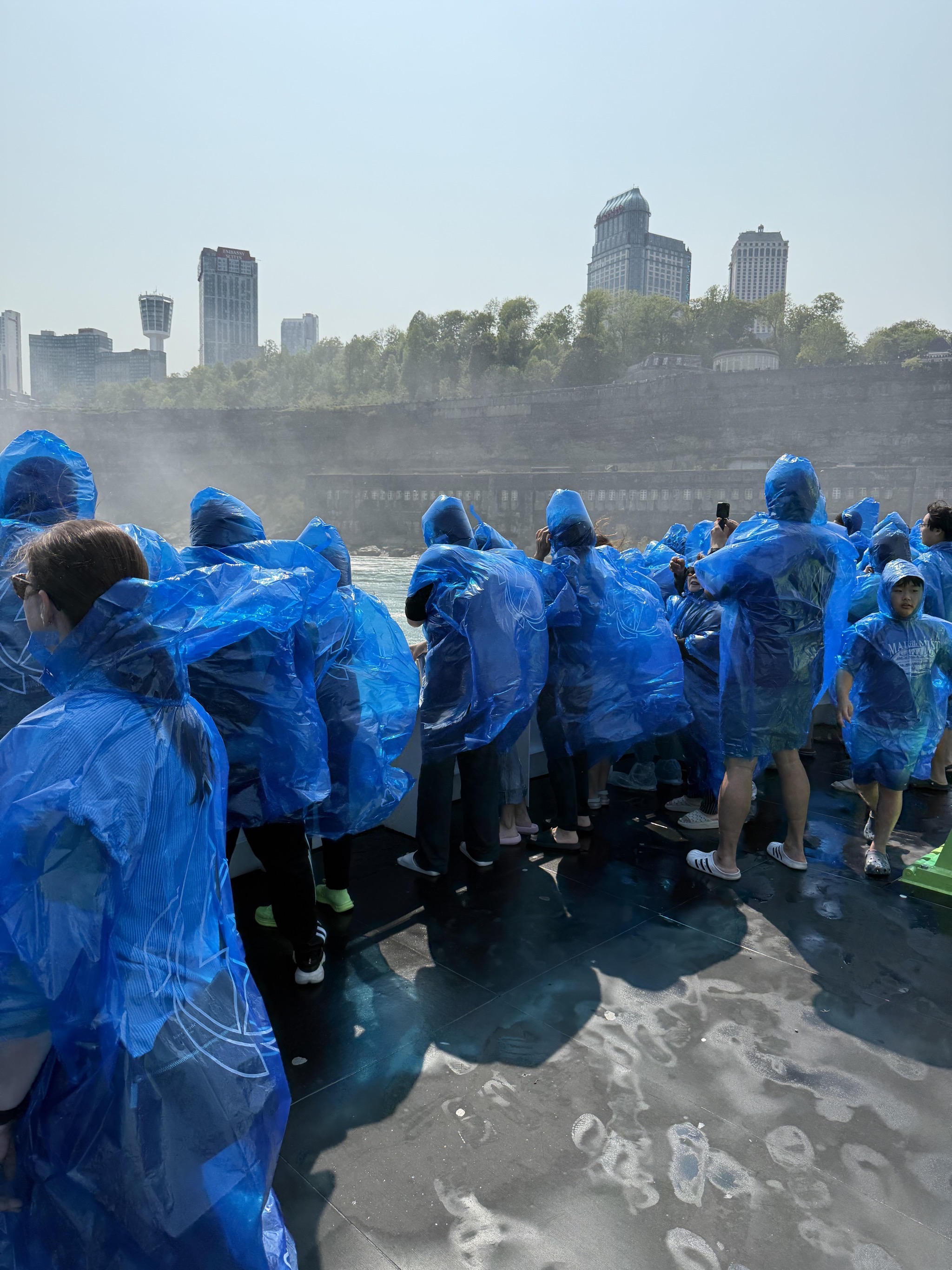 Ponchos