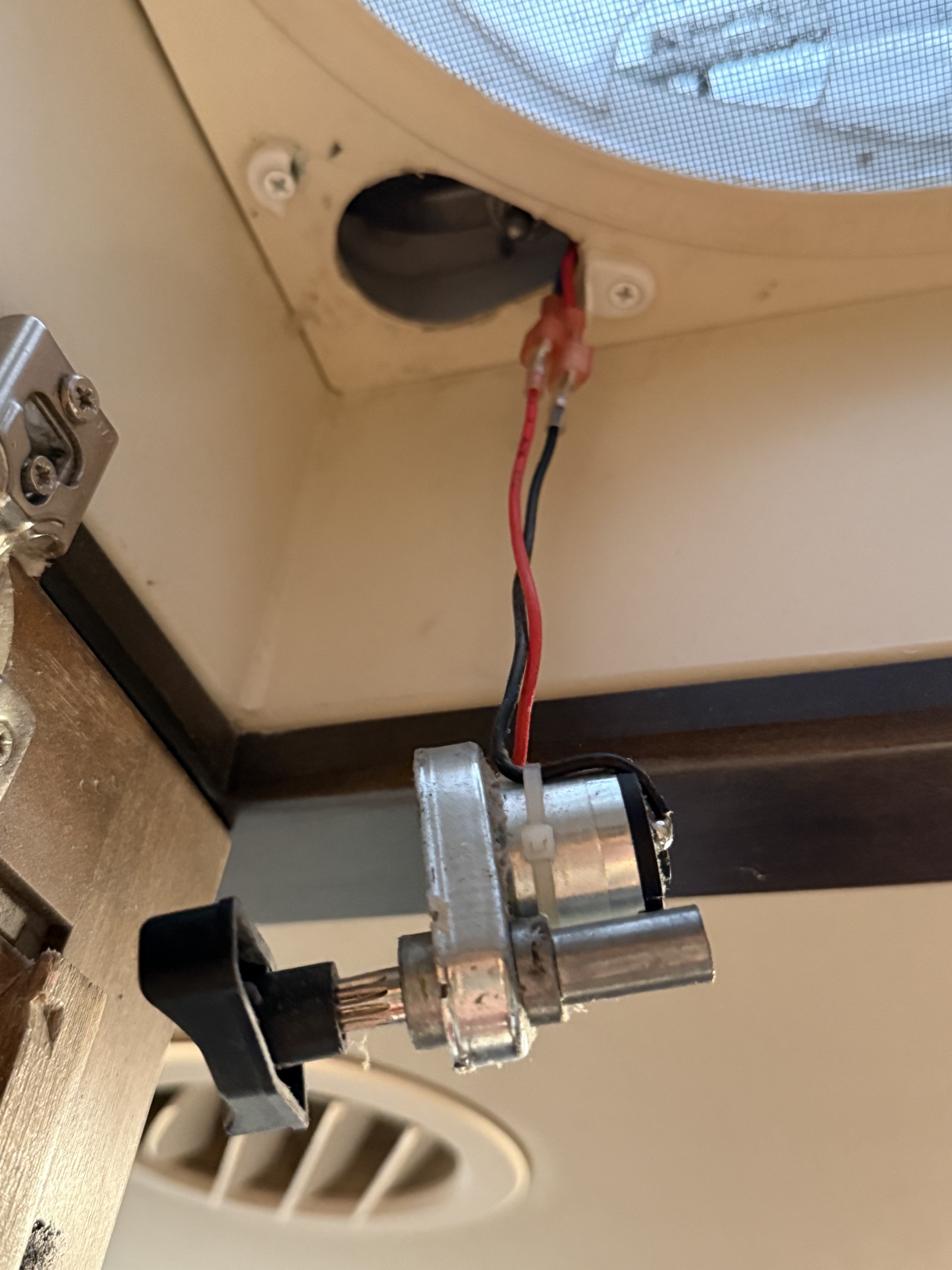 Motor