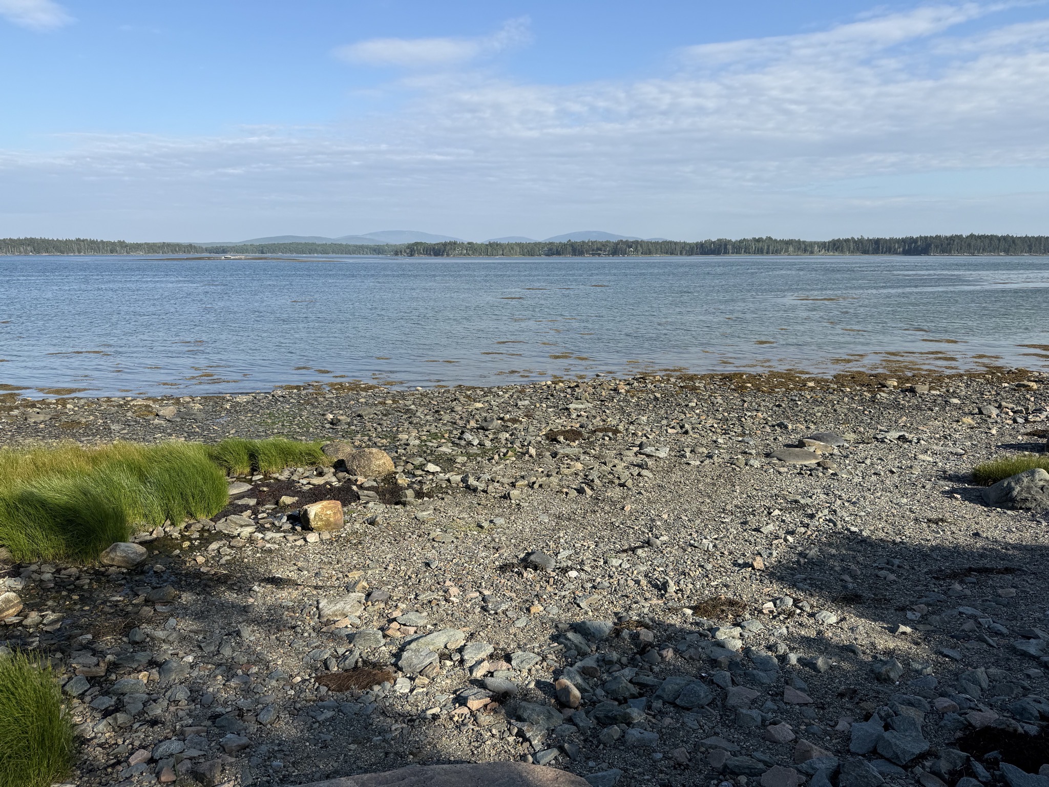 Waterfront