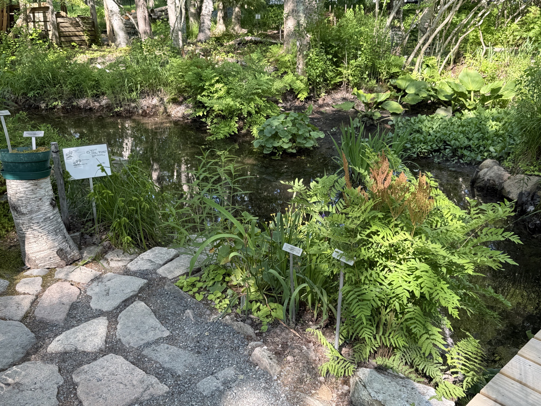 The Wild Gardens of Acadia