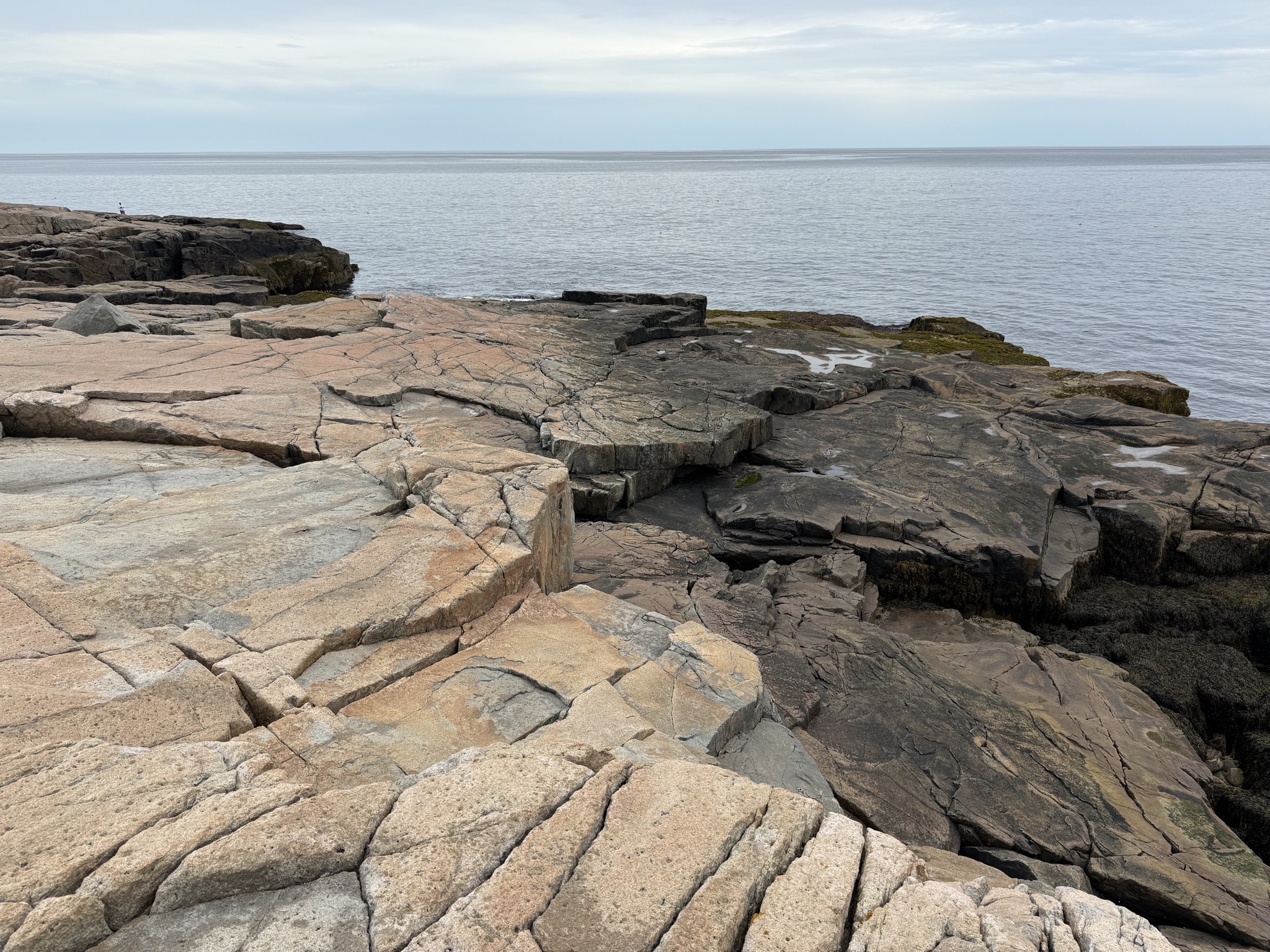 Schoodic Peninsula