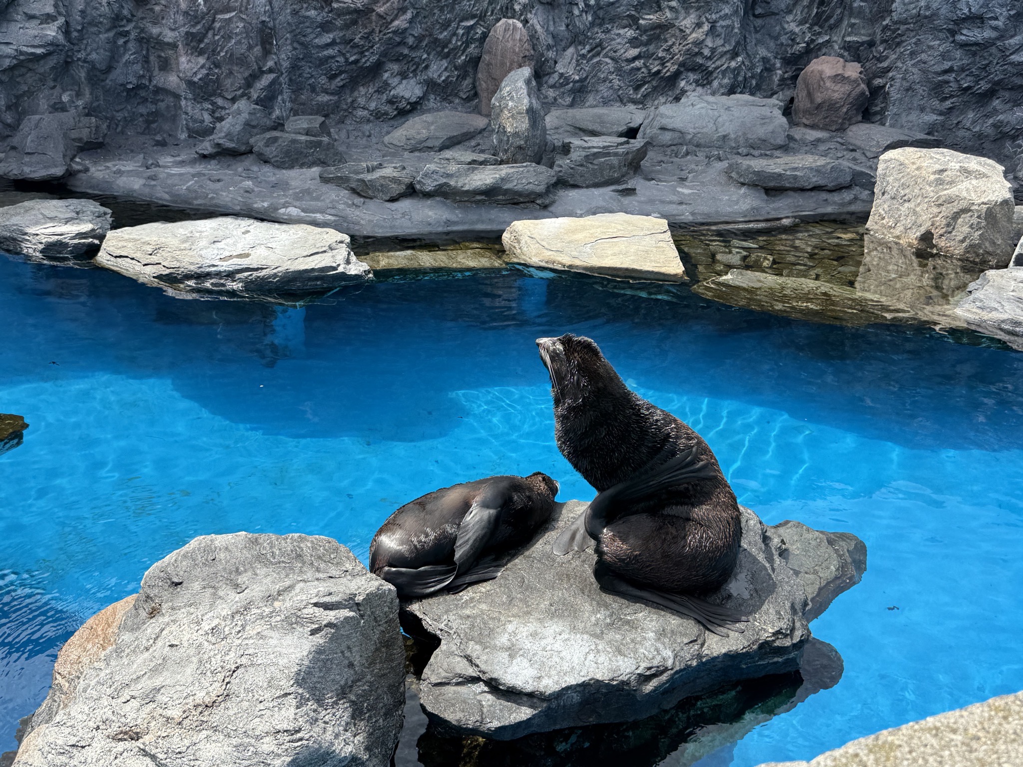 Seals