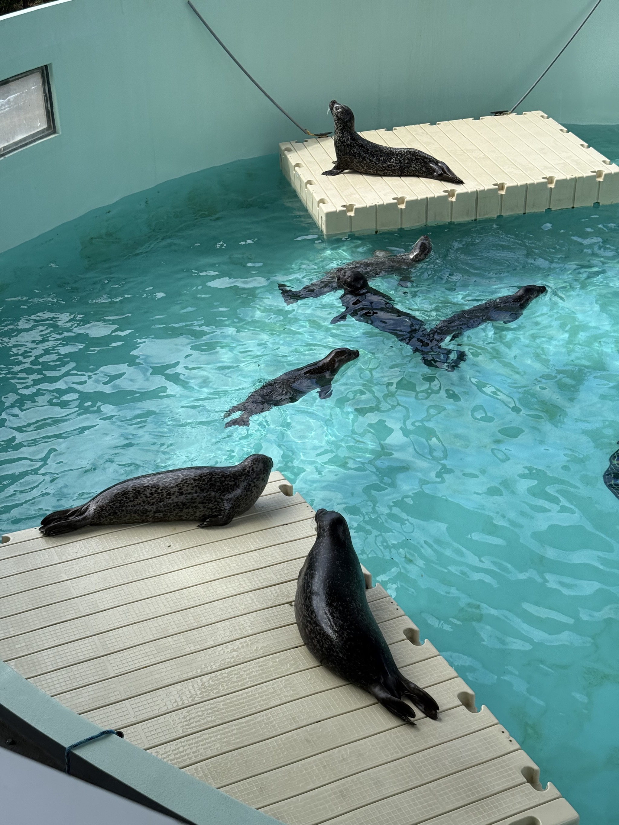 Seals