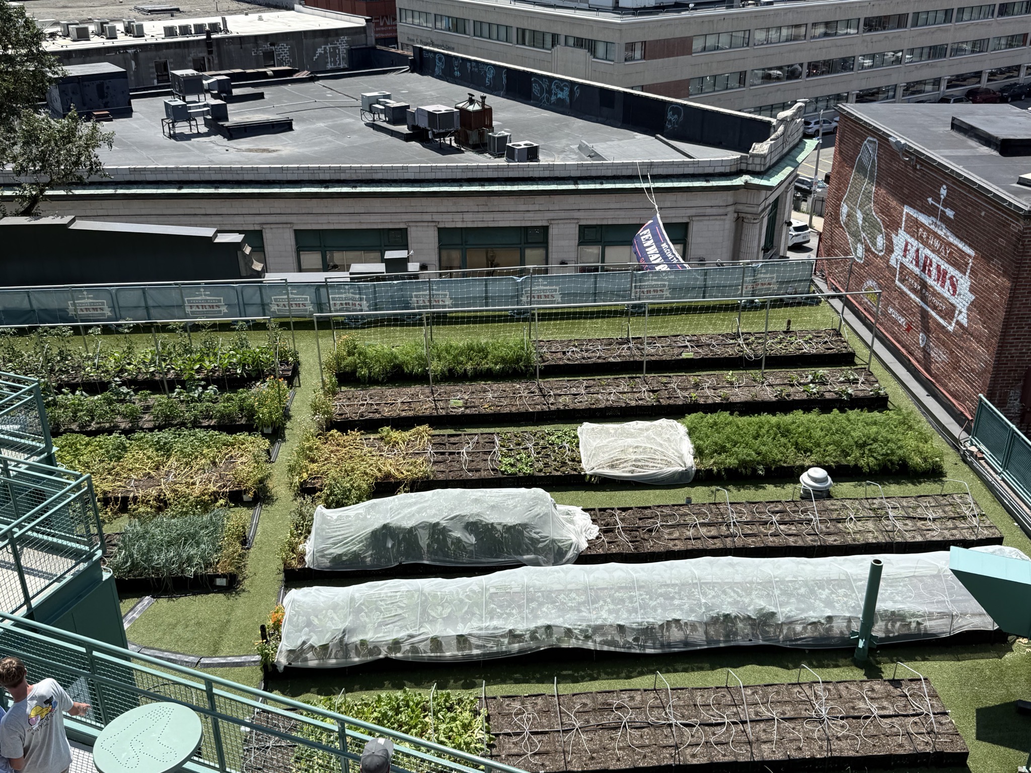 Gardens at Fenway