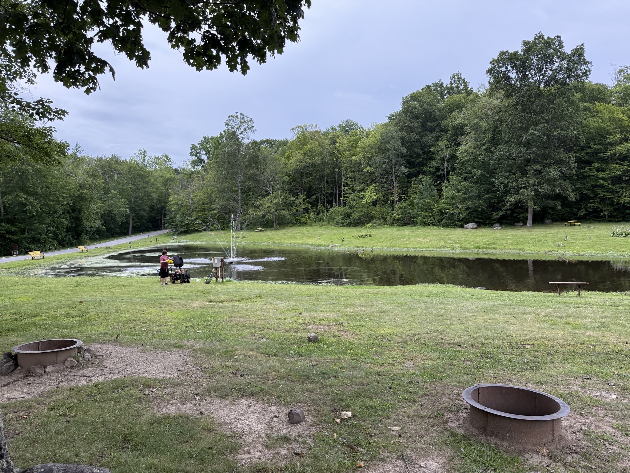 Pond