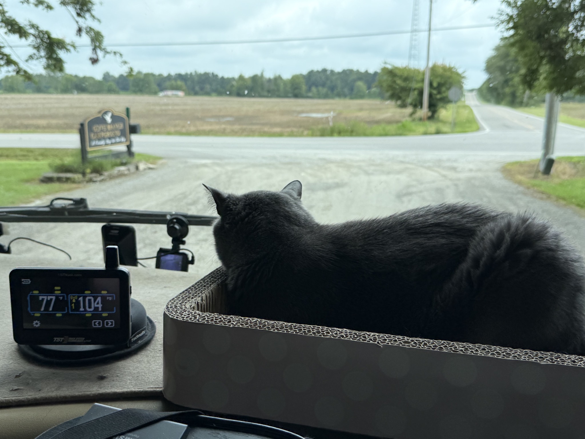 Paladin on the dash when leaving the campground