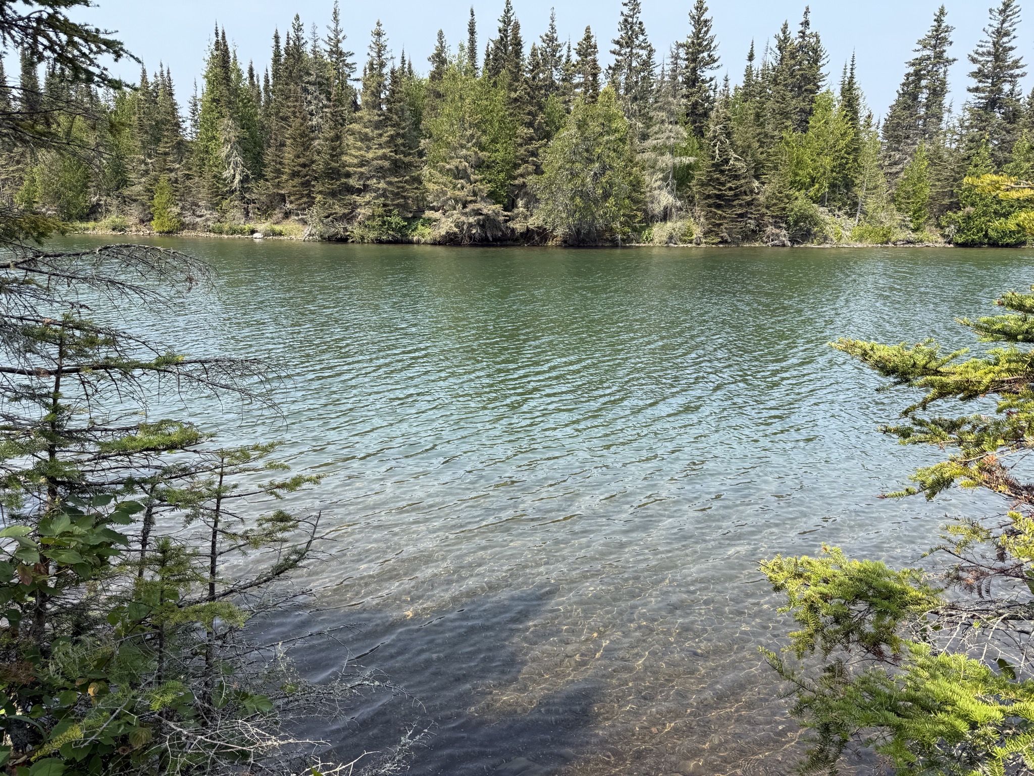 Stoll Trail