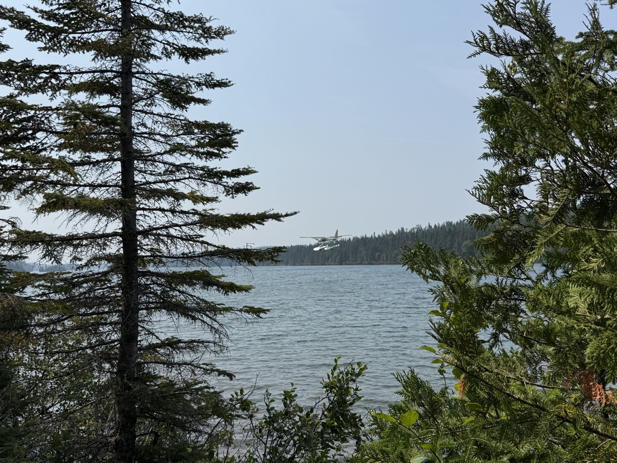 Stoll Trail