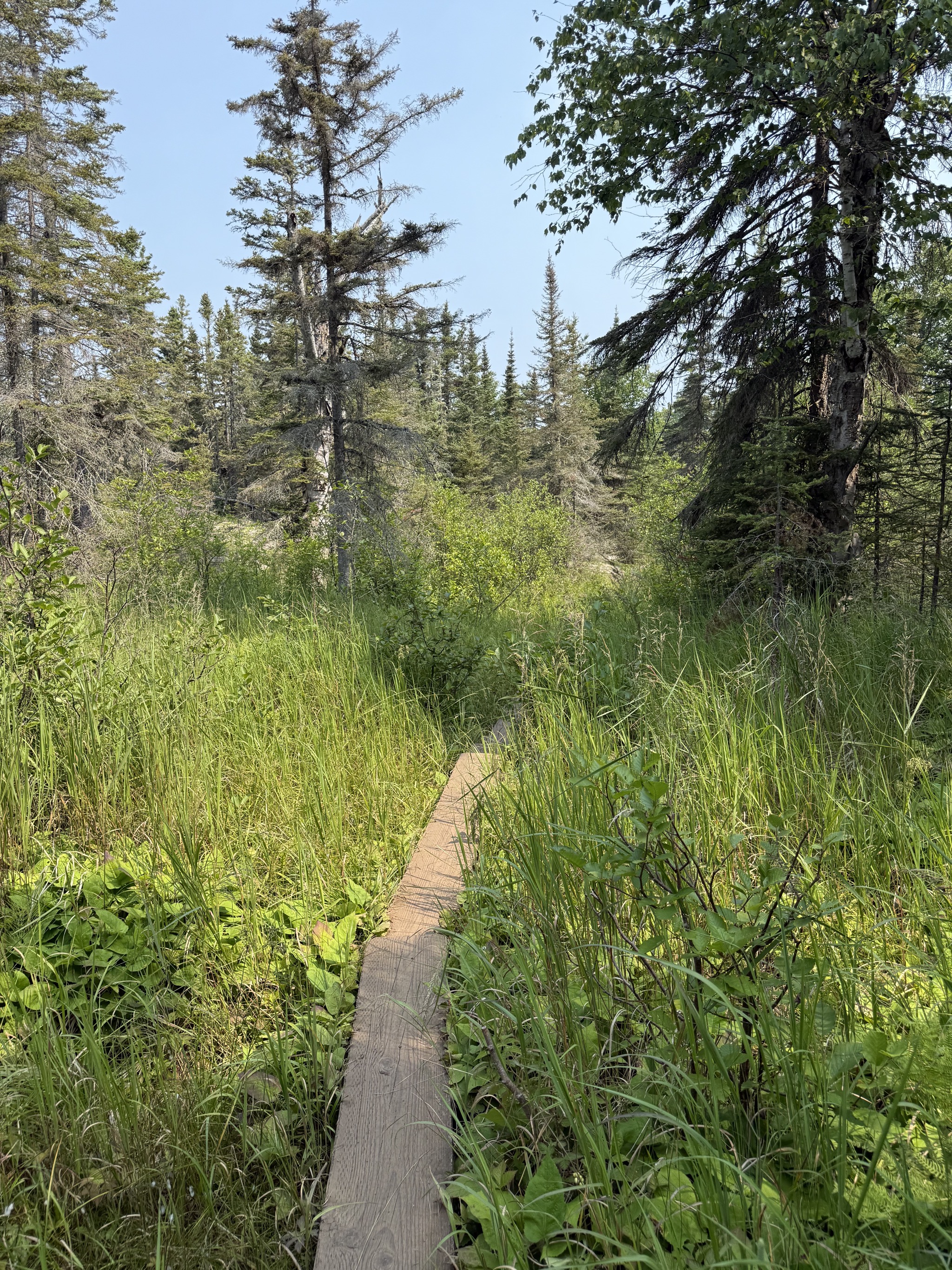 Stoll Trail