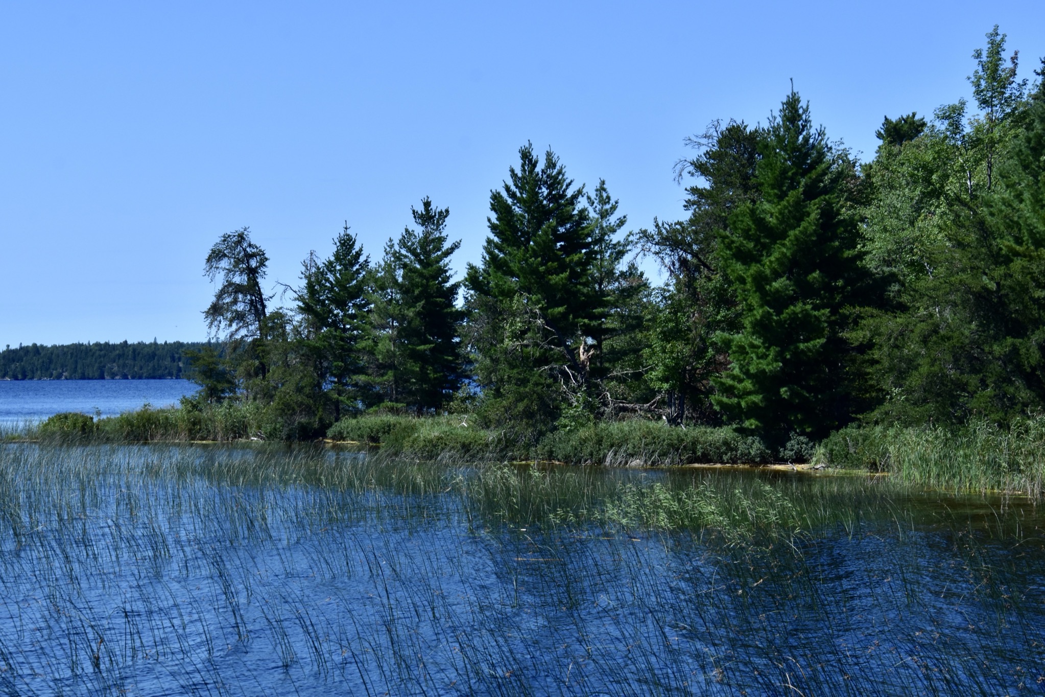 Rainy Lake tour