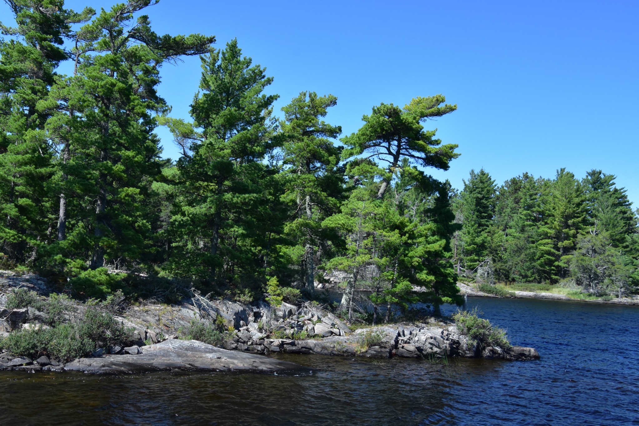 Rainy Lake tour