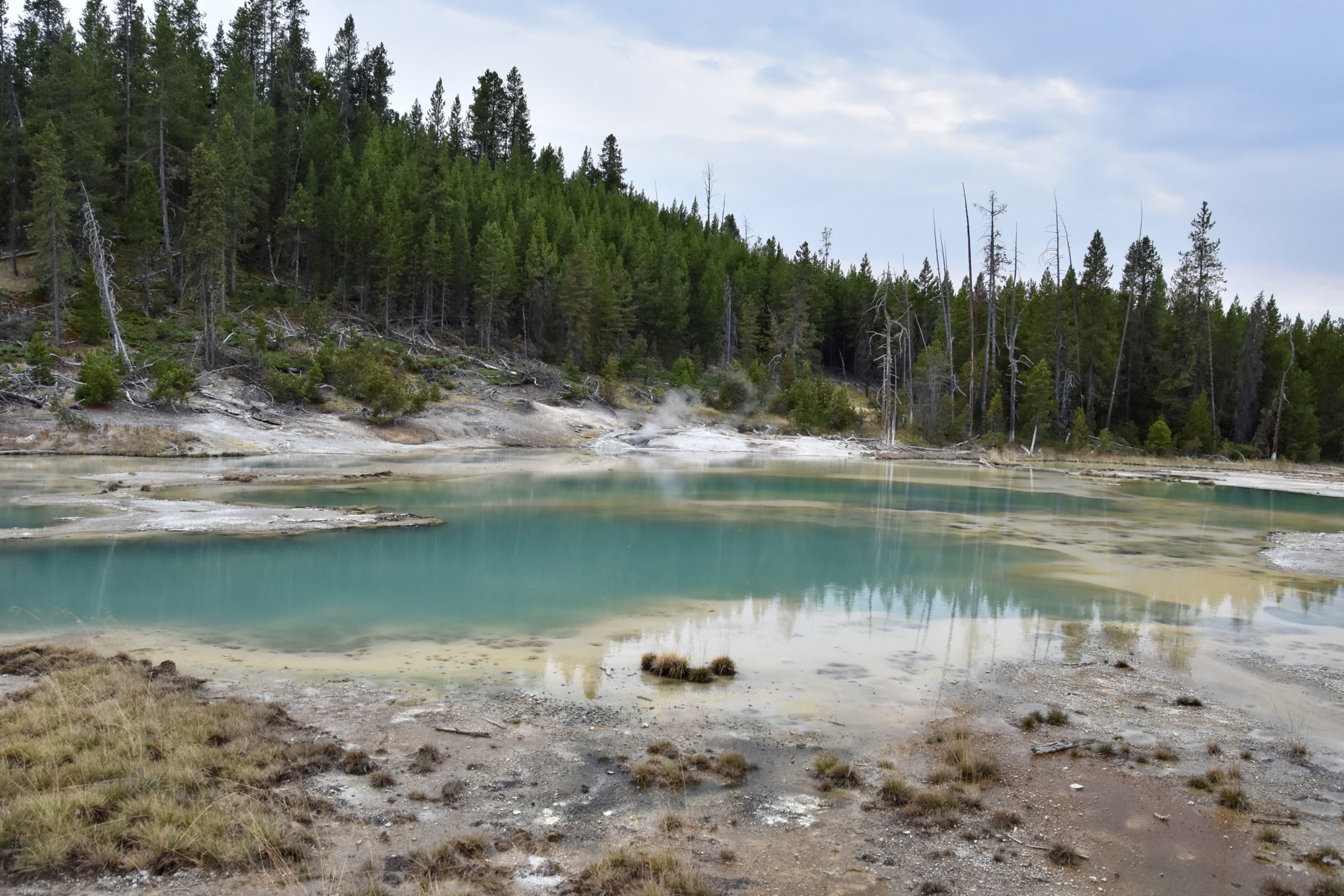 Norris Geyser Basin