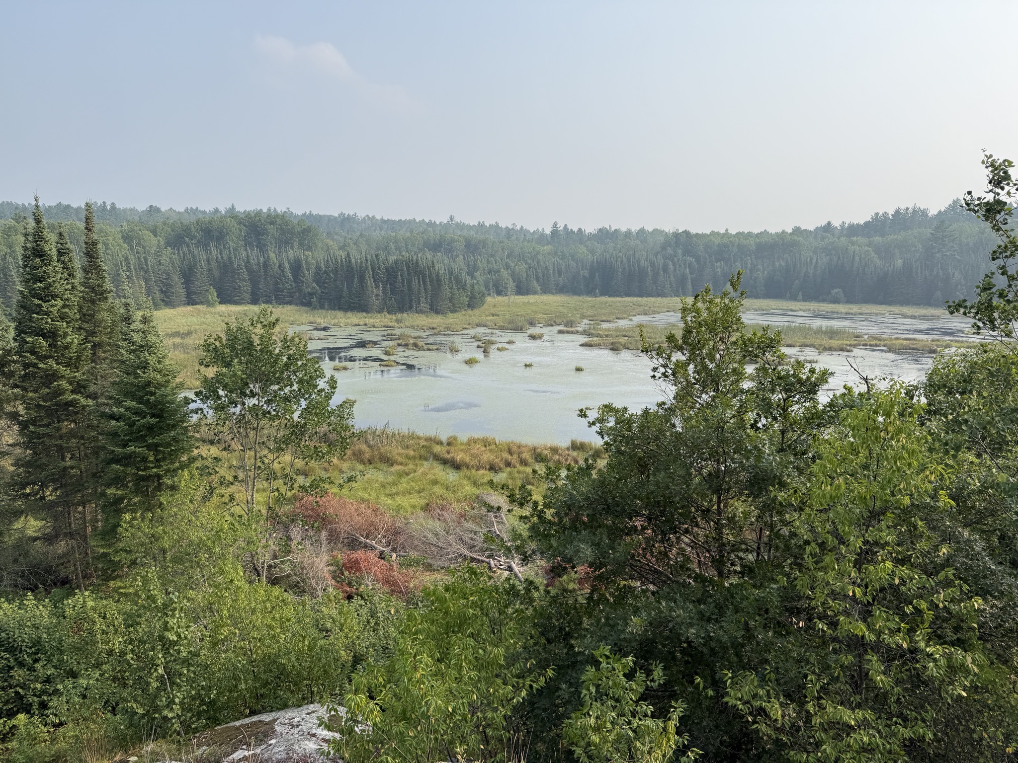 Beaver Pond Overlook Trail