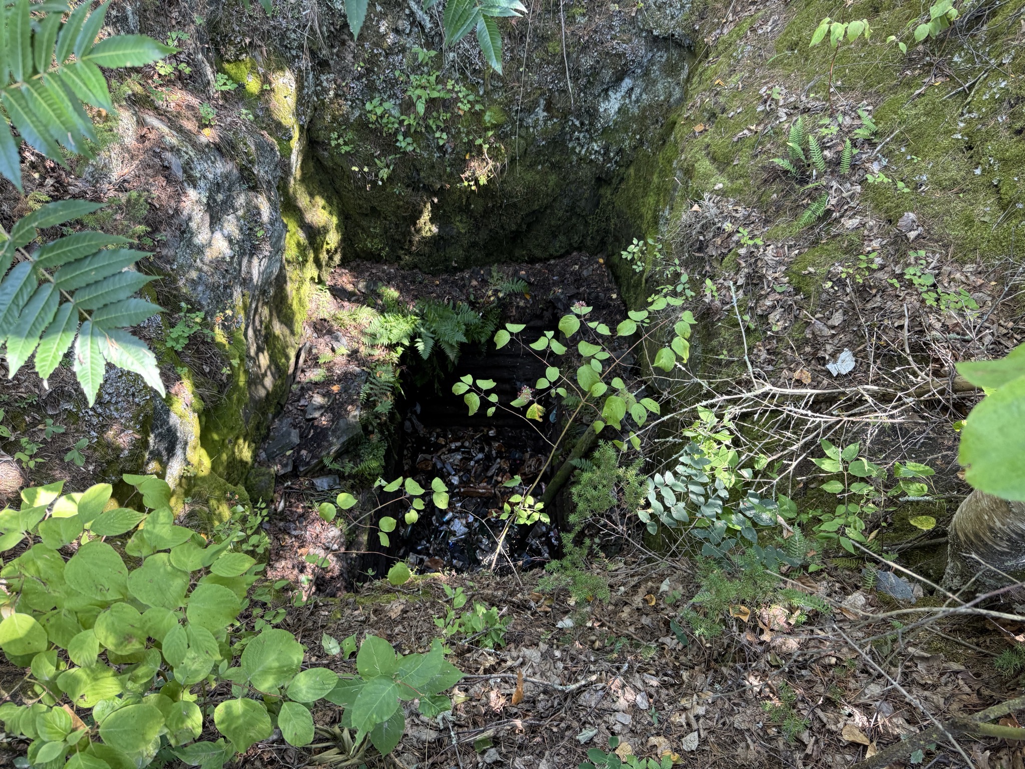Mine