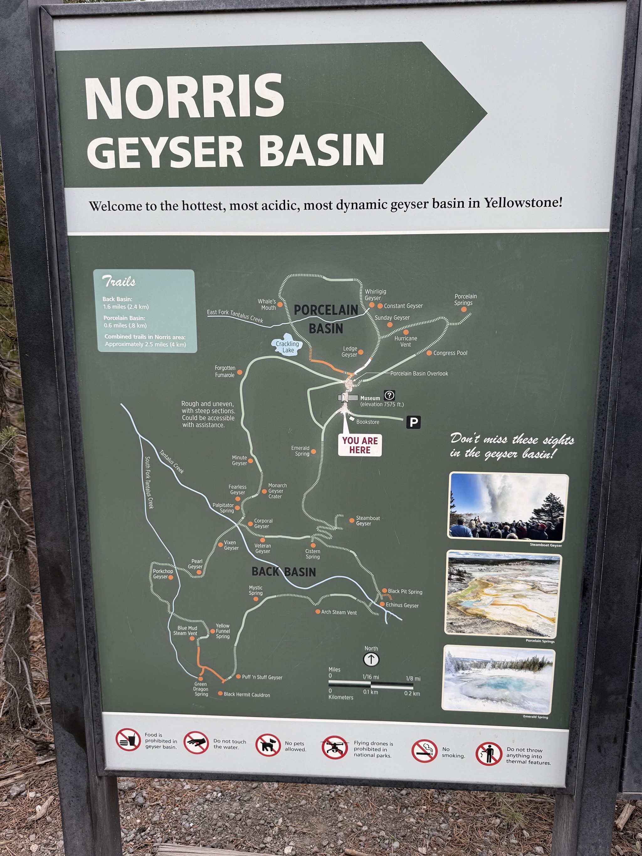 Norris Geyser Basin