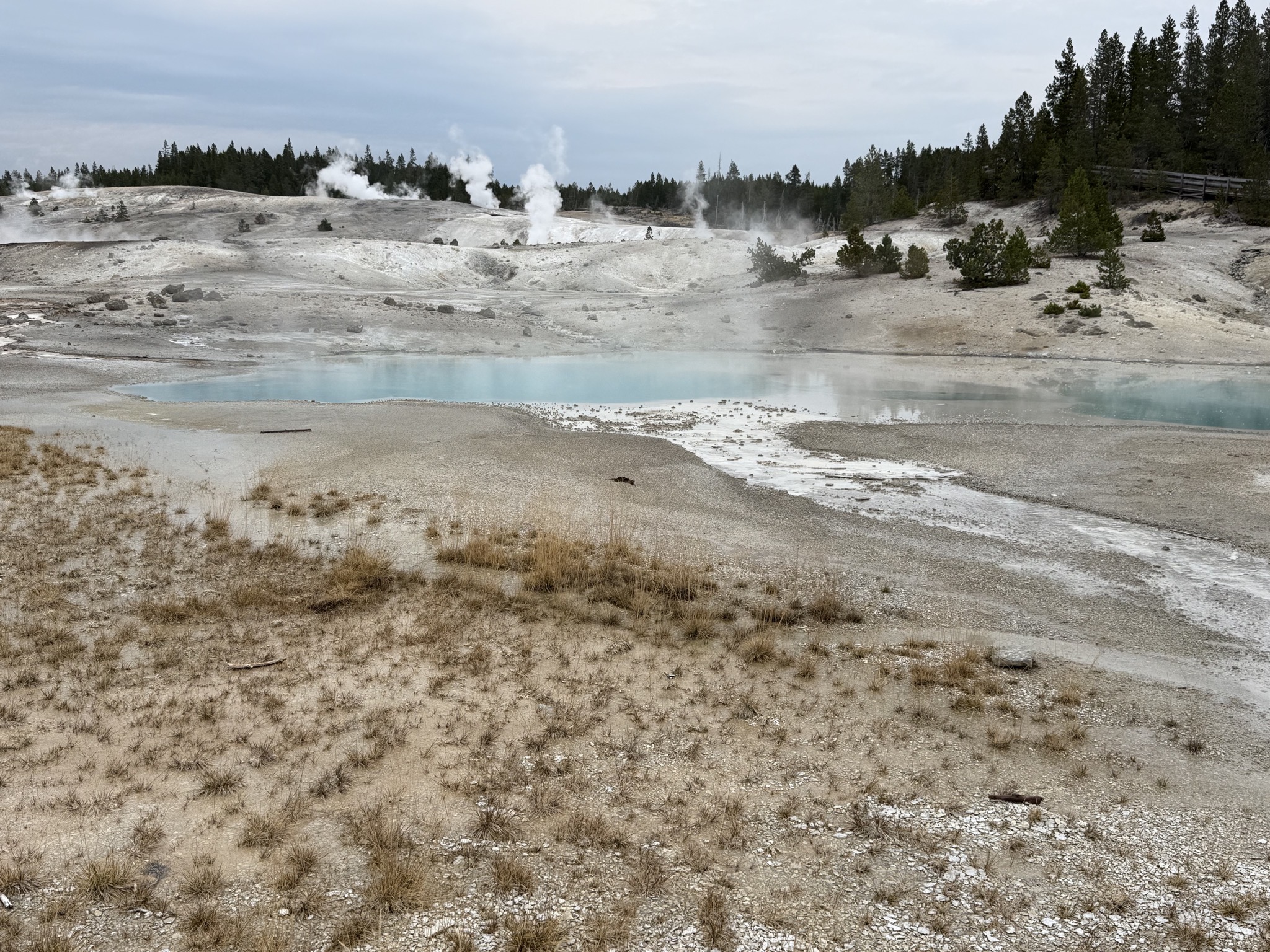 Norris Geyser Basin