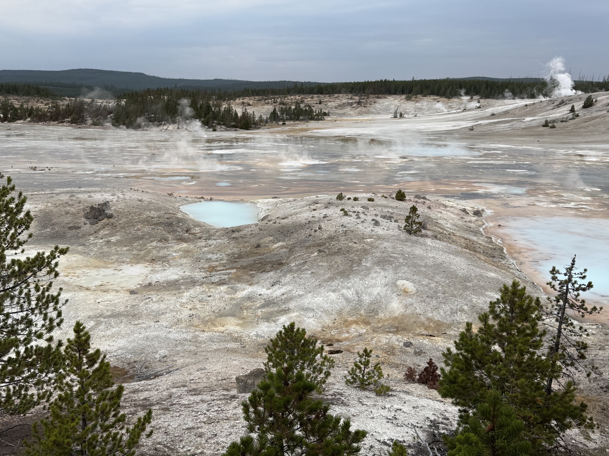 Norris Geyser Basin
