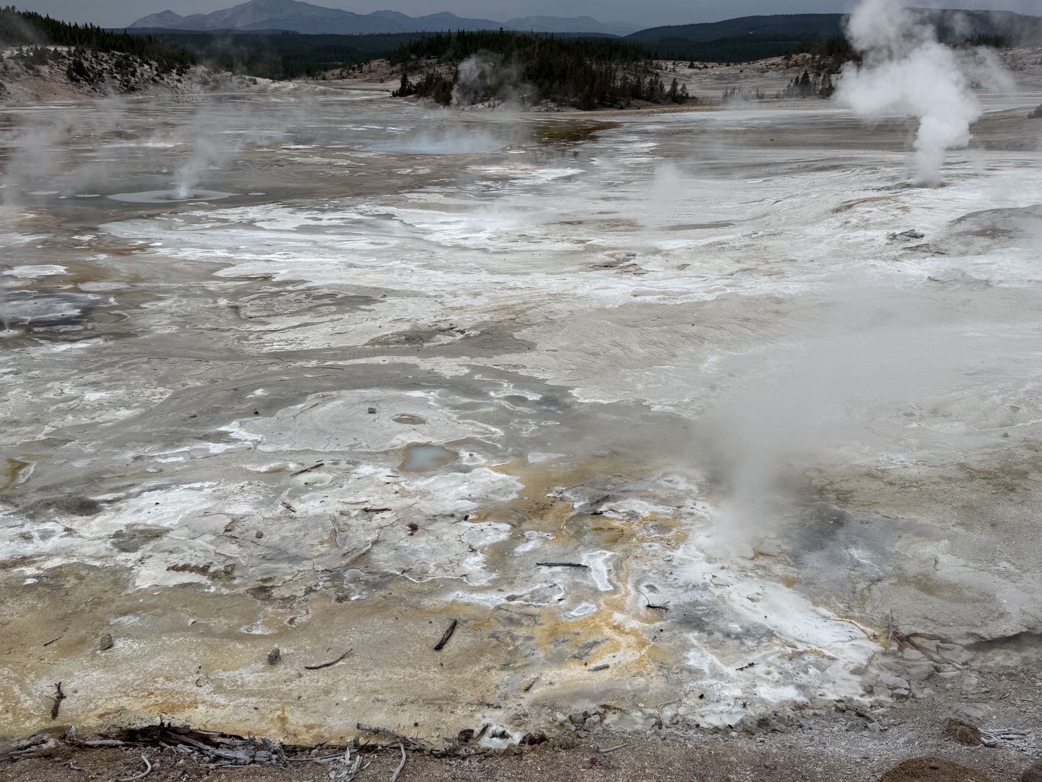 Norris Geyser Basin