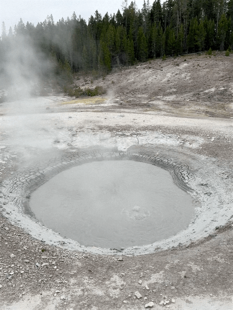 Norris Geyser Basin