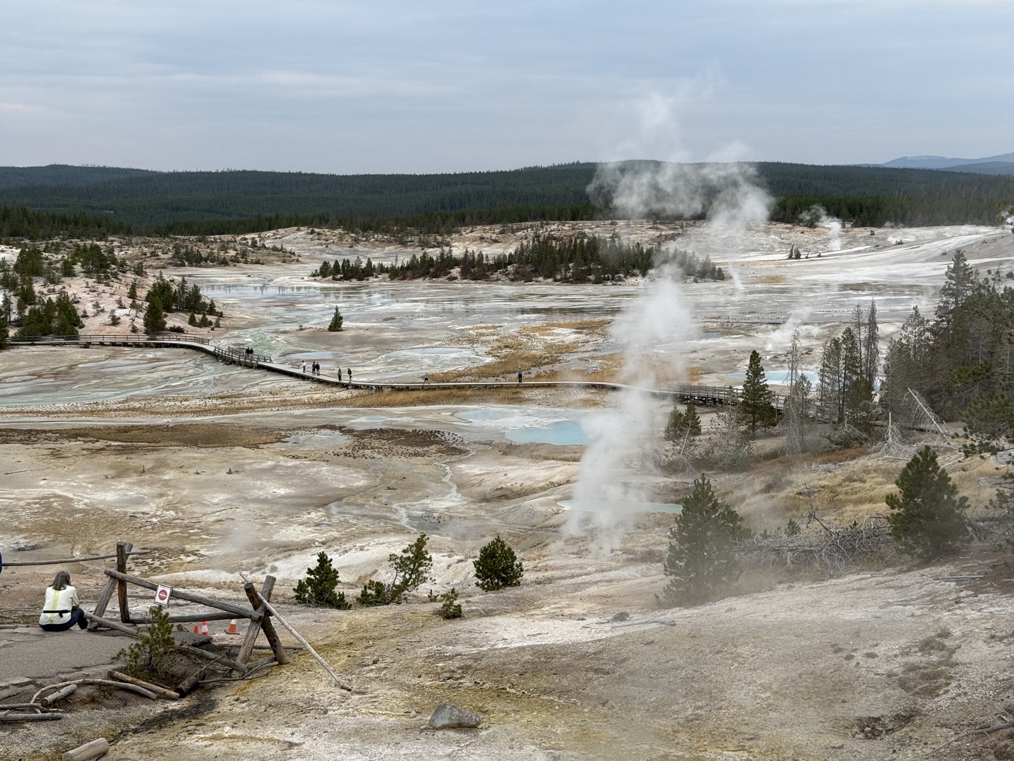 Norris Geyser Basin