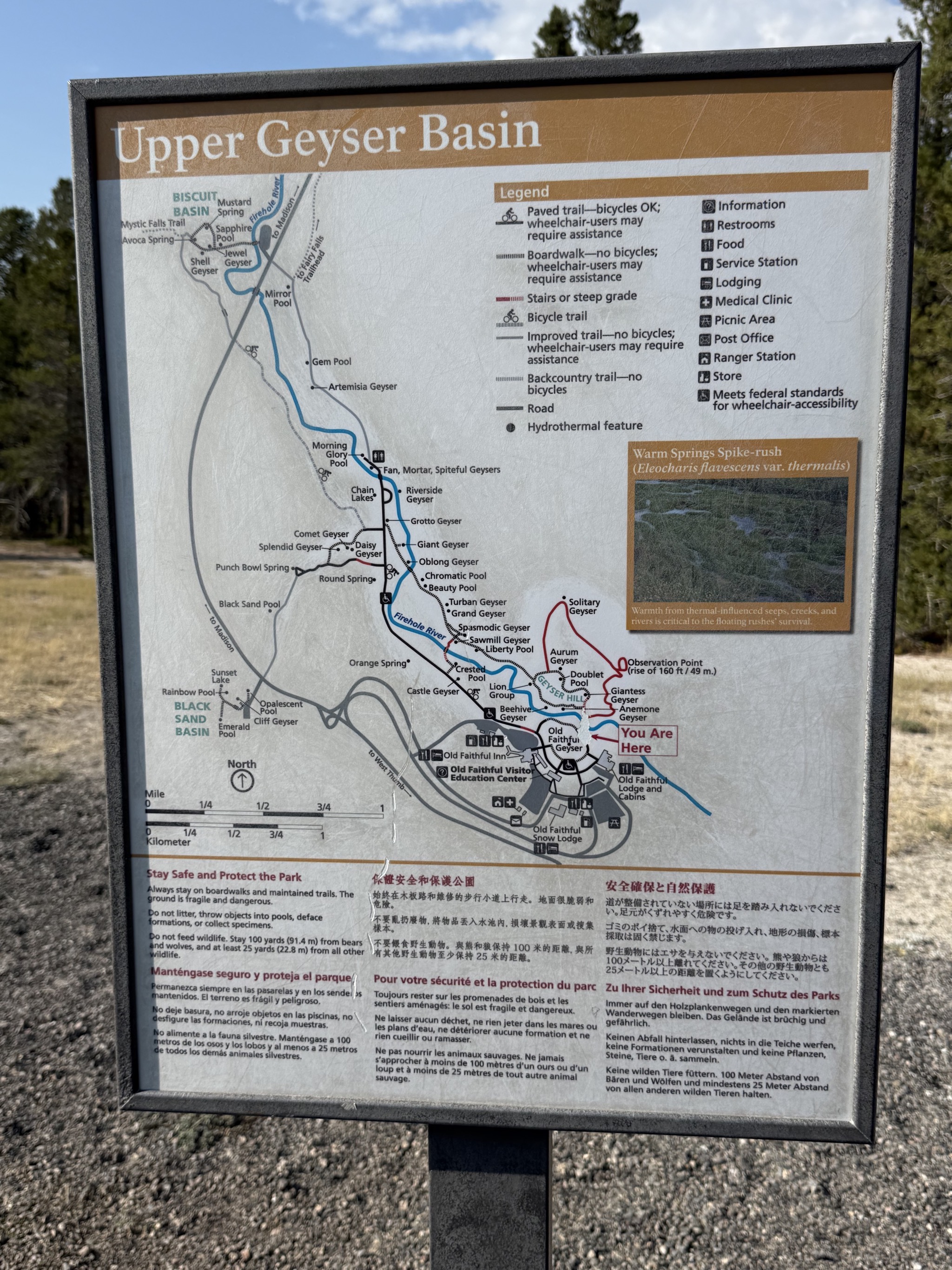 Upper Geyser Basin