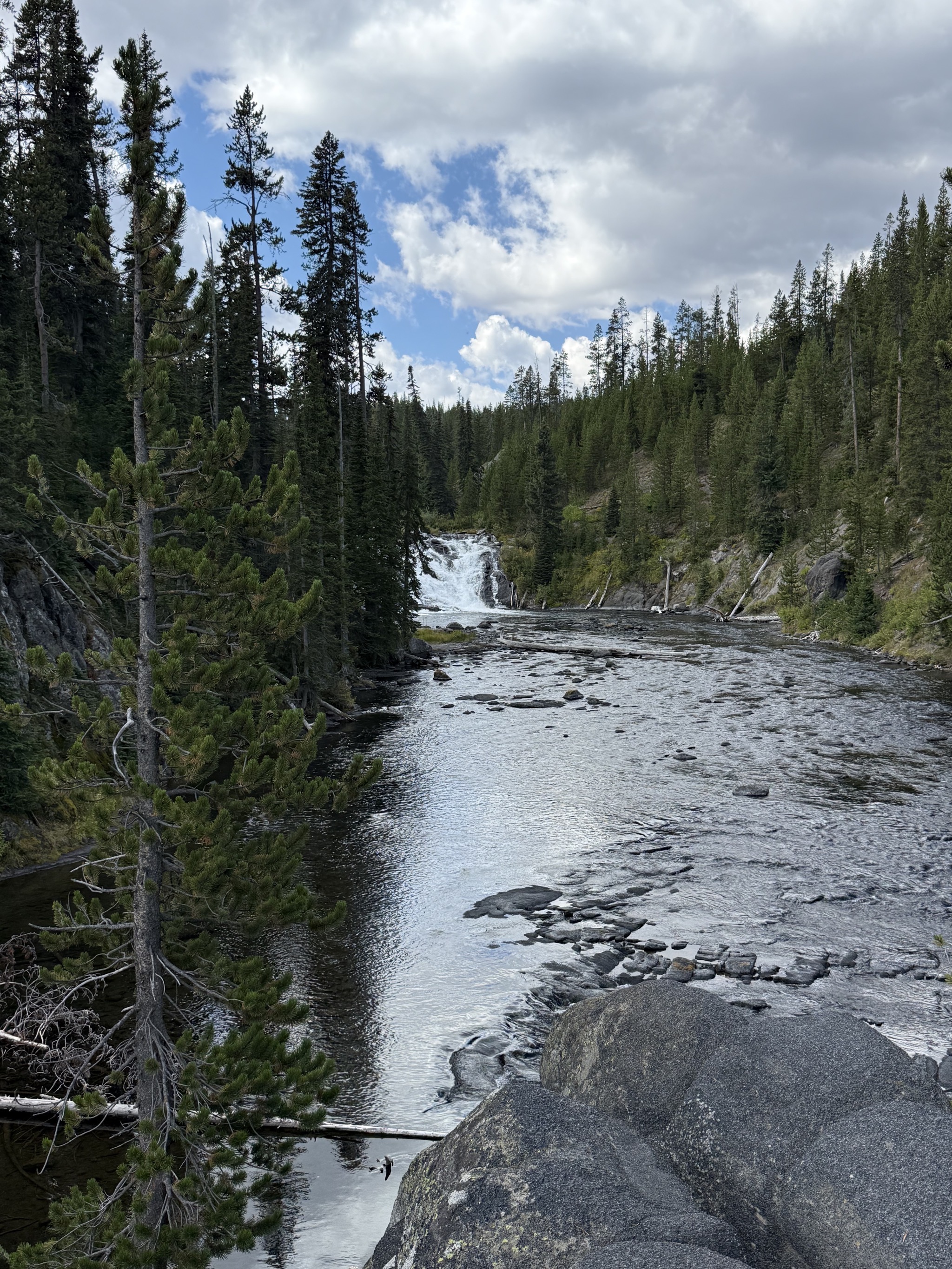 Lewis Falls