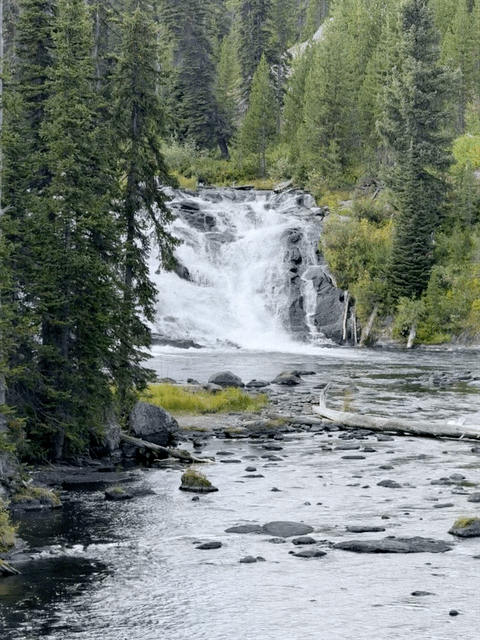 Lewis Falls