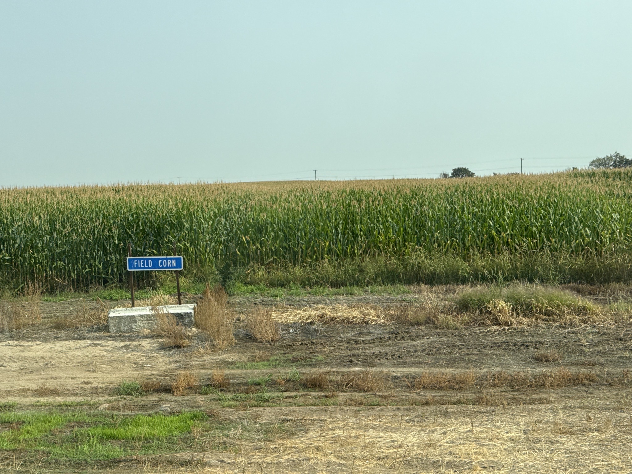 Field planting sign