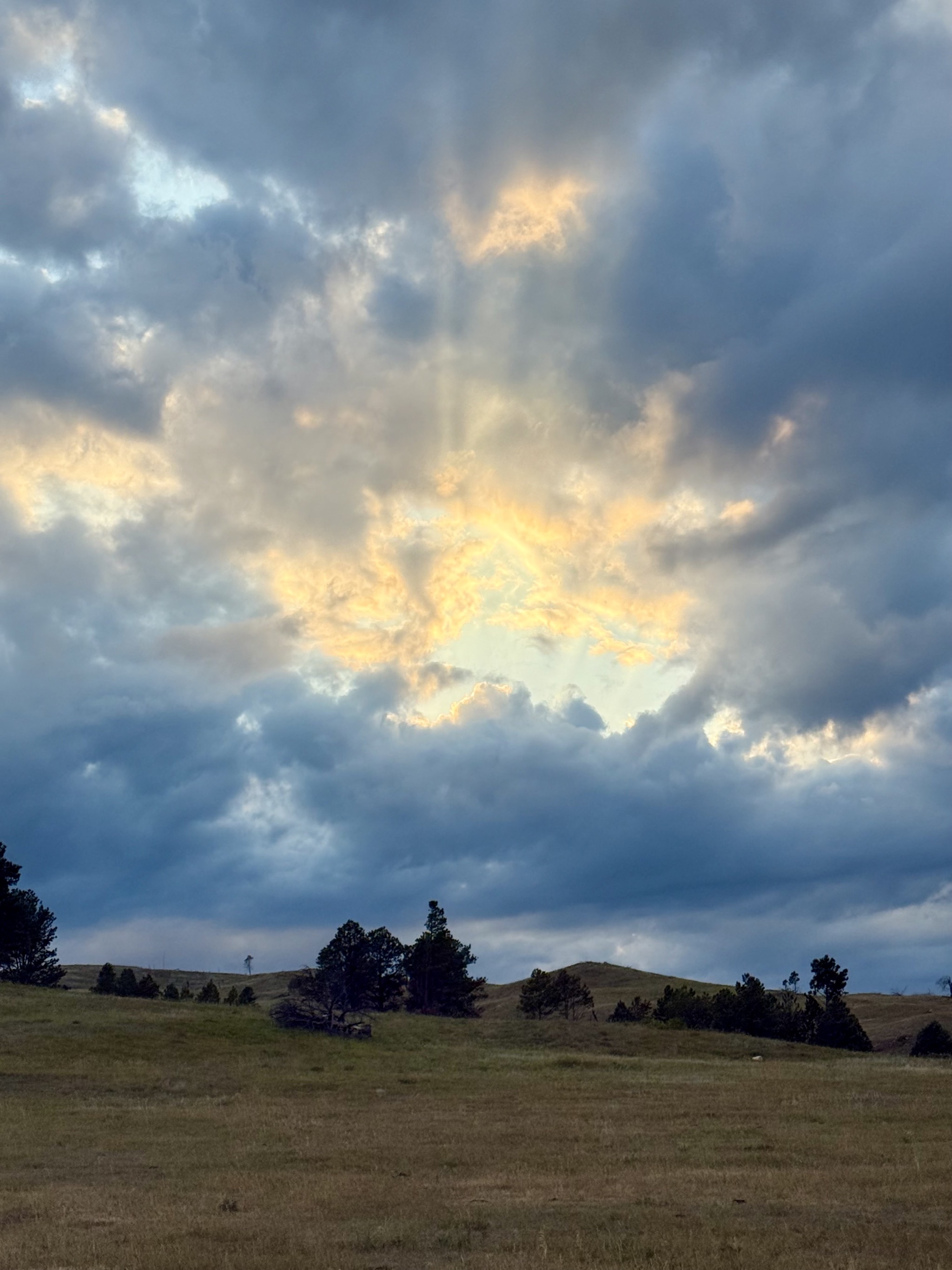 Sun rays