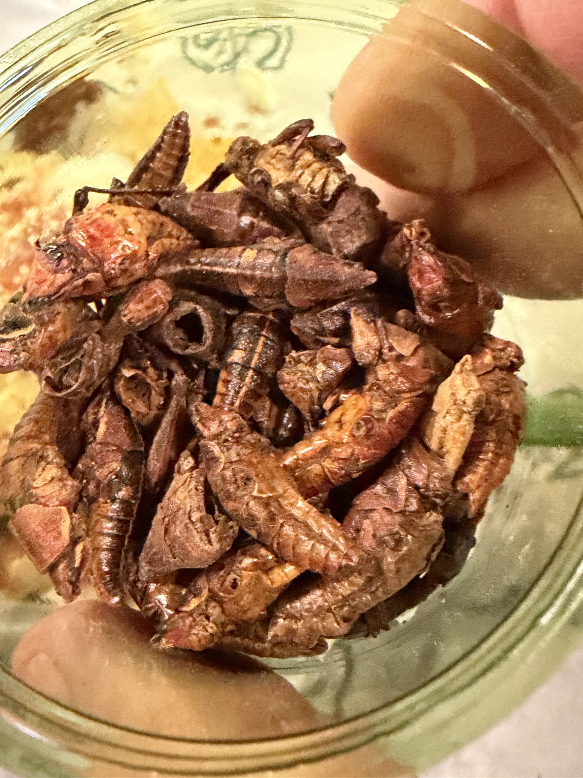 Grasshoppers